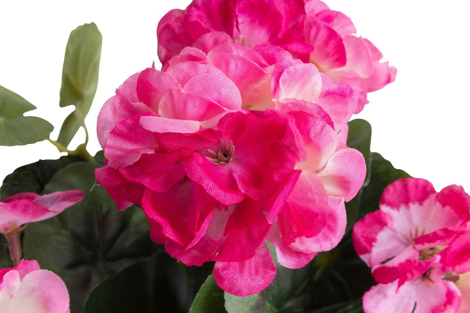 Kunstblume »Geranie mit 6 Stielen« Geranie, Botanic-Haus, Höhe 26 cm-HomeTrends