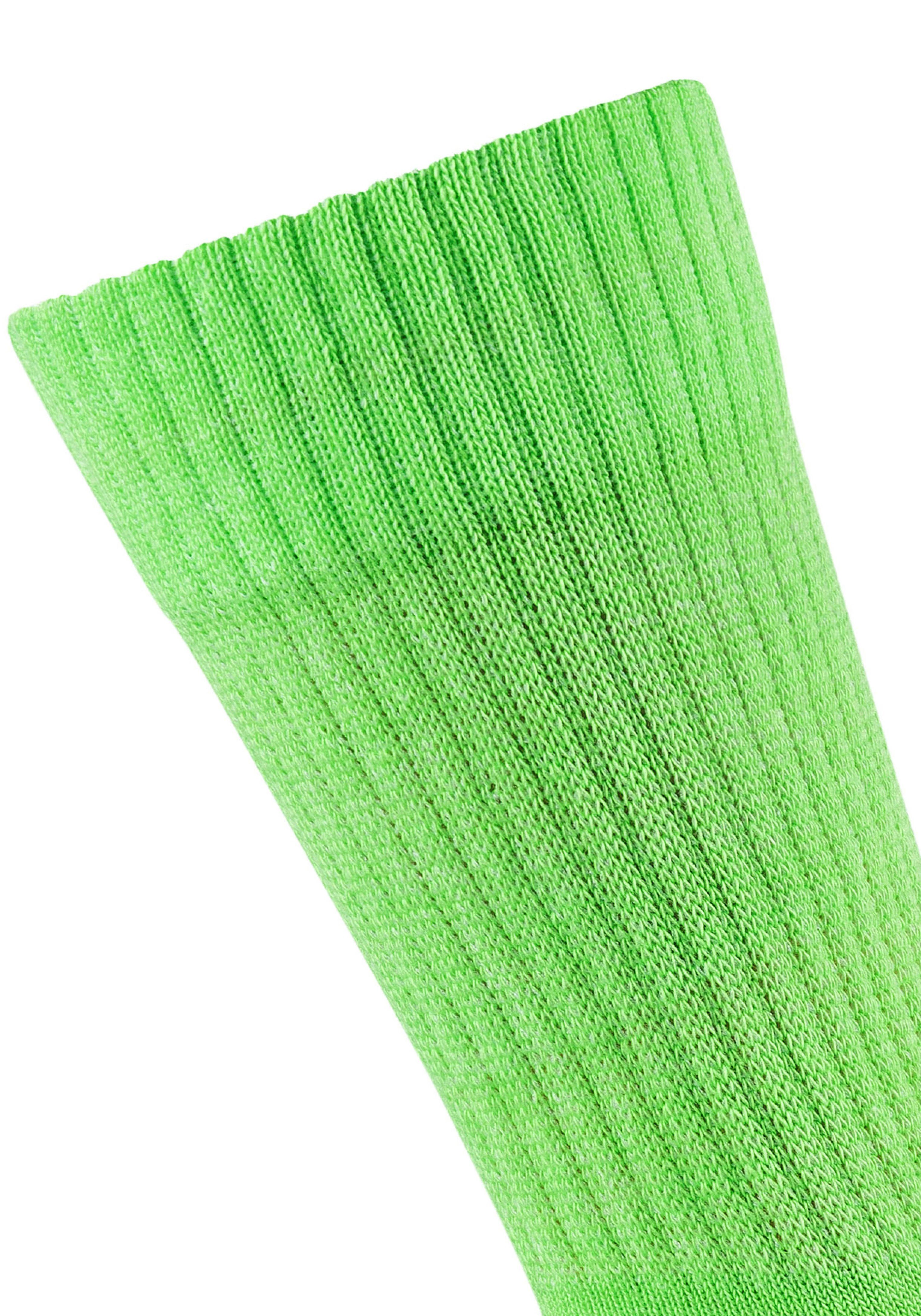 und (Packung, Funktionssocken 4-Paar) grün-meliert Camano Spitze Belastungszonen an Verstärkte Ferse