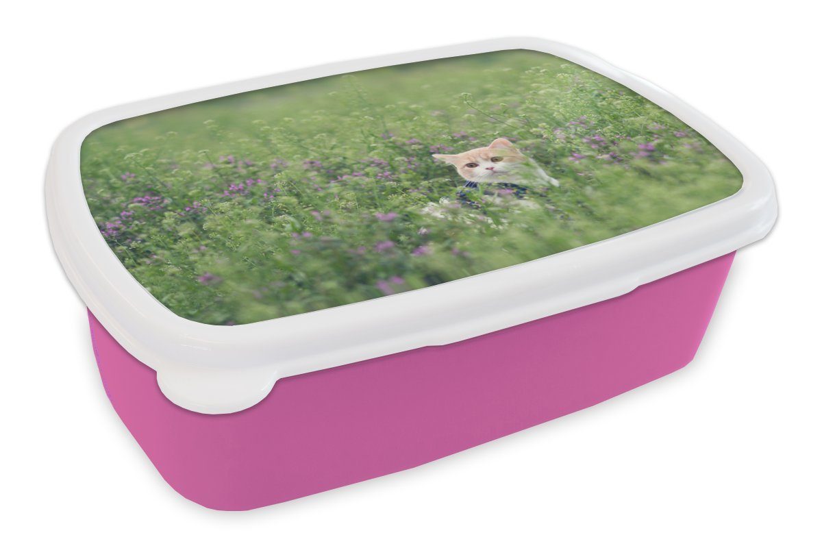 Kunststoff Frühling, Snackbox, Lunchbox rosa Katze Erwachsene, Brotbox Kunststoff, MuchoWow für (2-tlg), - - Kinder, Mädchen, Blumen Brotdose