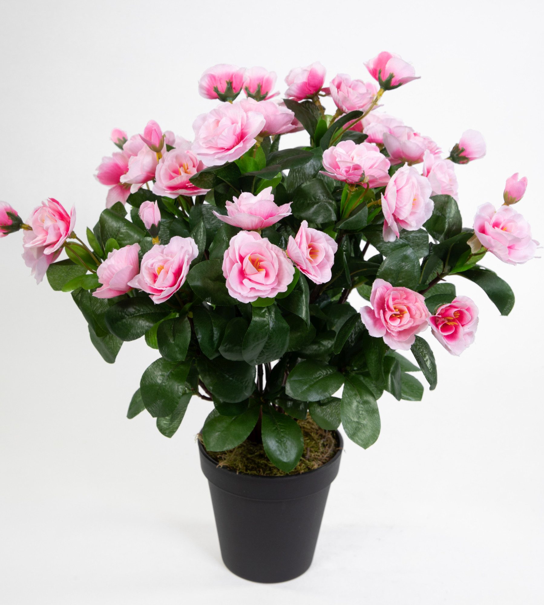 Kunstblume Azalee 40cm im Topf ZF Kunstpflanzen Kunstblumen künstliche Pflanzen