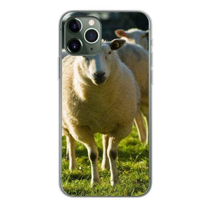 MuchoWow Handyhülle Schafe - Tiere - Wolle Handyhülle Apple iPhone 11 Pro Smartphone-Bumper Print Handy