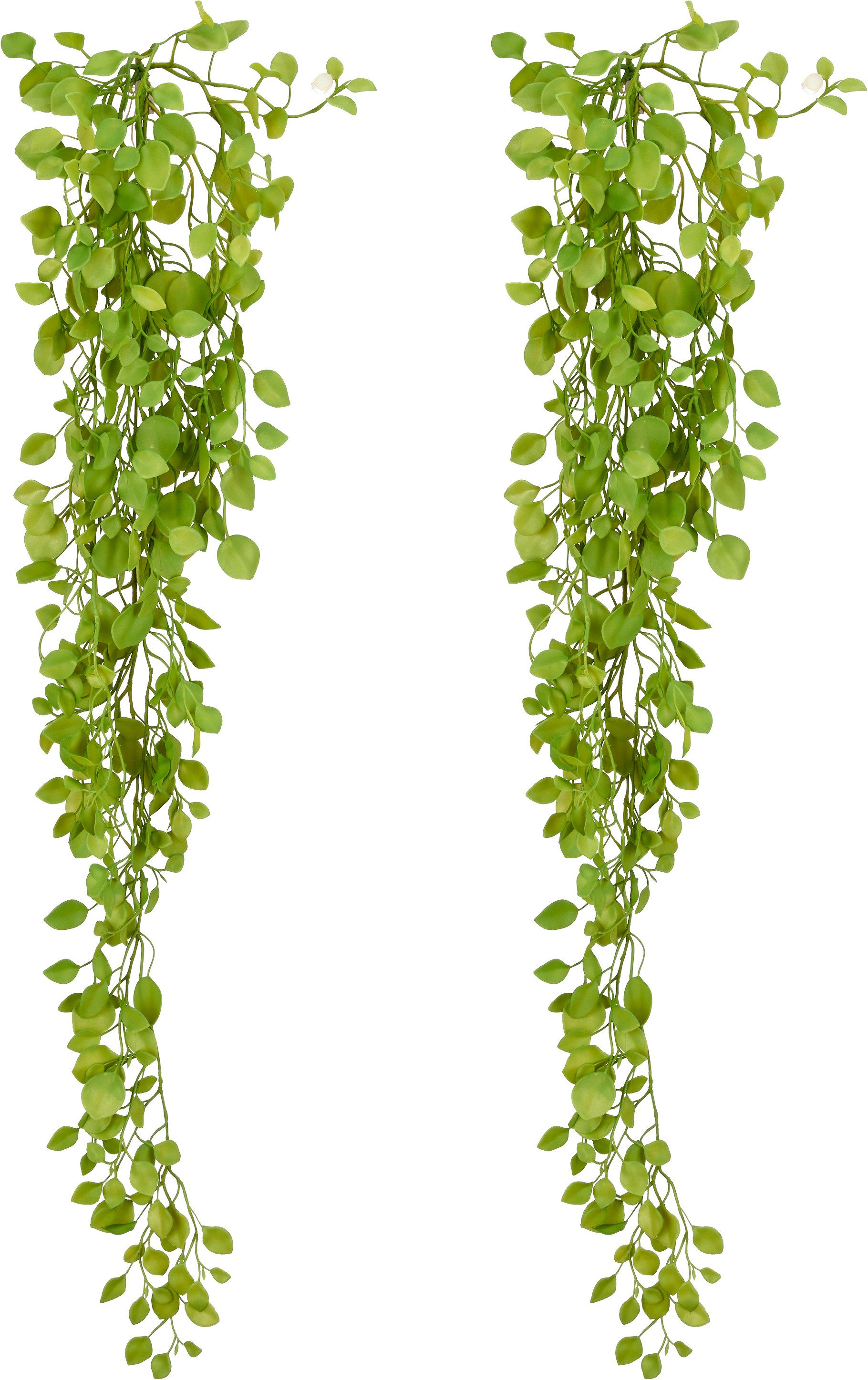 Kunstranke Dischidiahänger, Creativ green, Höhe 90 cm, mit schönem Blattwerk