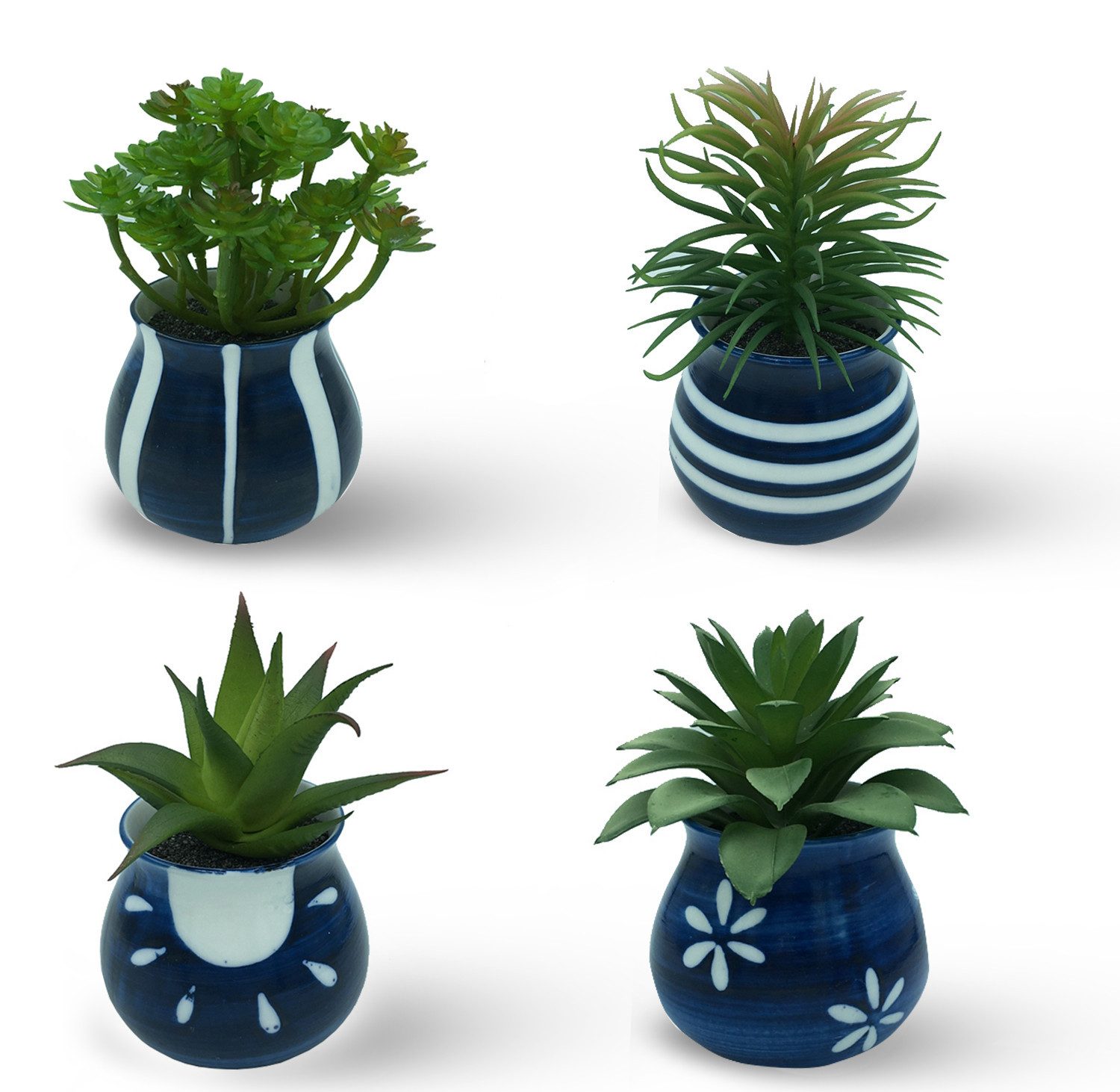 Künstliche Zimmerpflanze Kleine Kunstpflanzen & Künstliche Sukkulenten wie echt in edlen Töpfen Sukkulenten, PASCH, Hochglanz-Keramiktöpfe