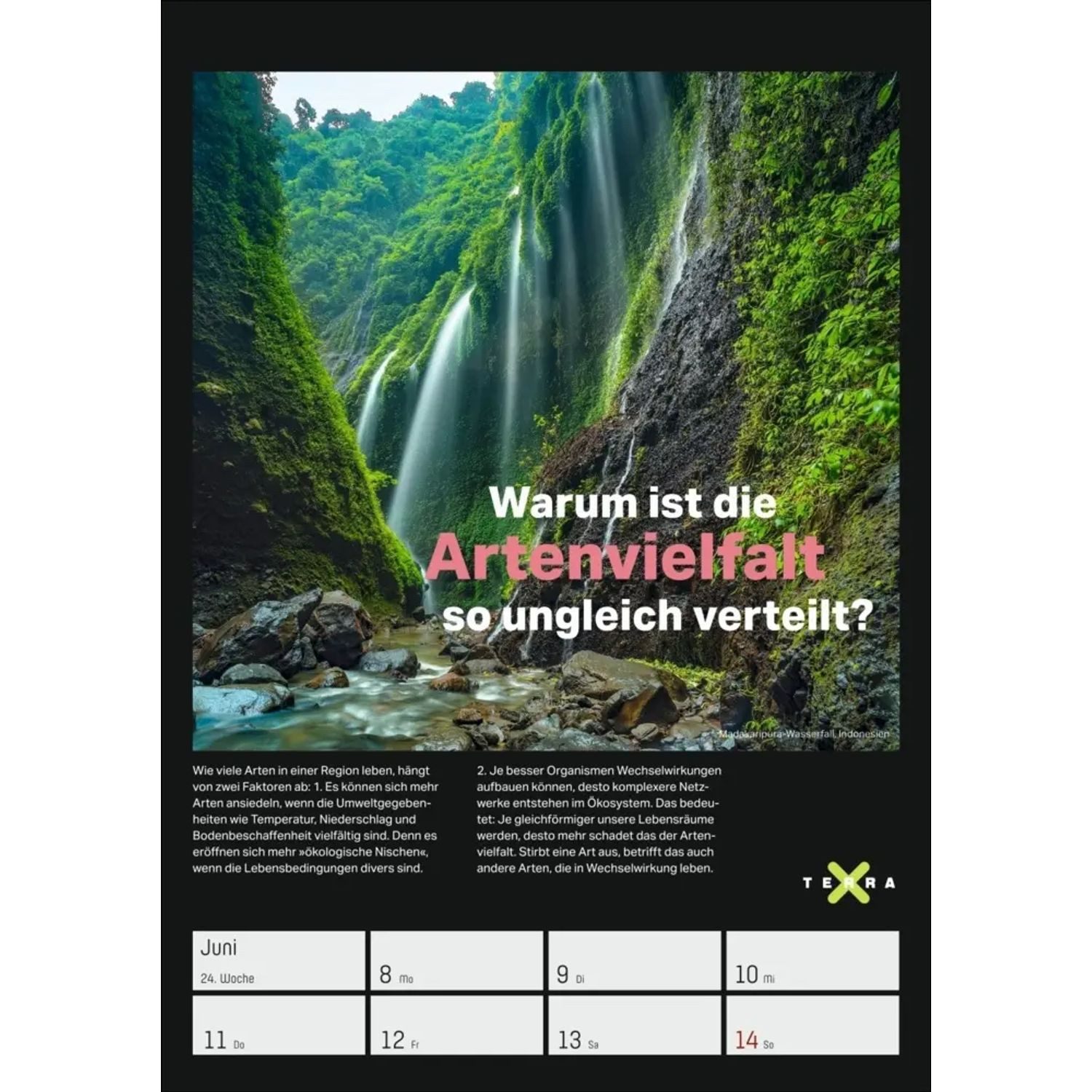 Harenberg Kalender Verlag Wandkalender Terra X - Das Wunder Erde Wochenplaner 2026