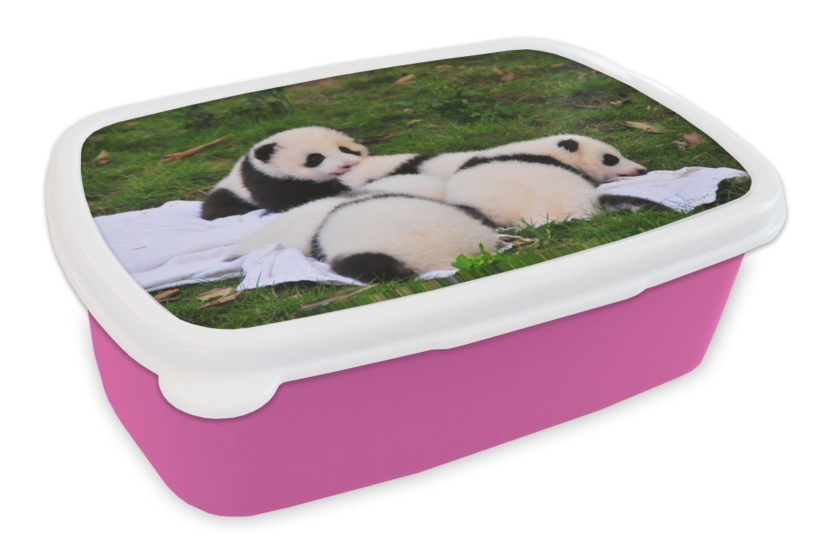 MuchoWow (2-tlg), Decke, - Erwachsene, - Pandas Kunststoff, Brotdose rosa Lunchbox Mädchen, Snackbox, für Gras Kinder, Brotbox Kunststoff