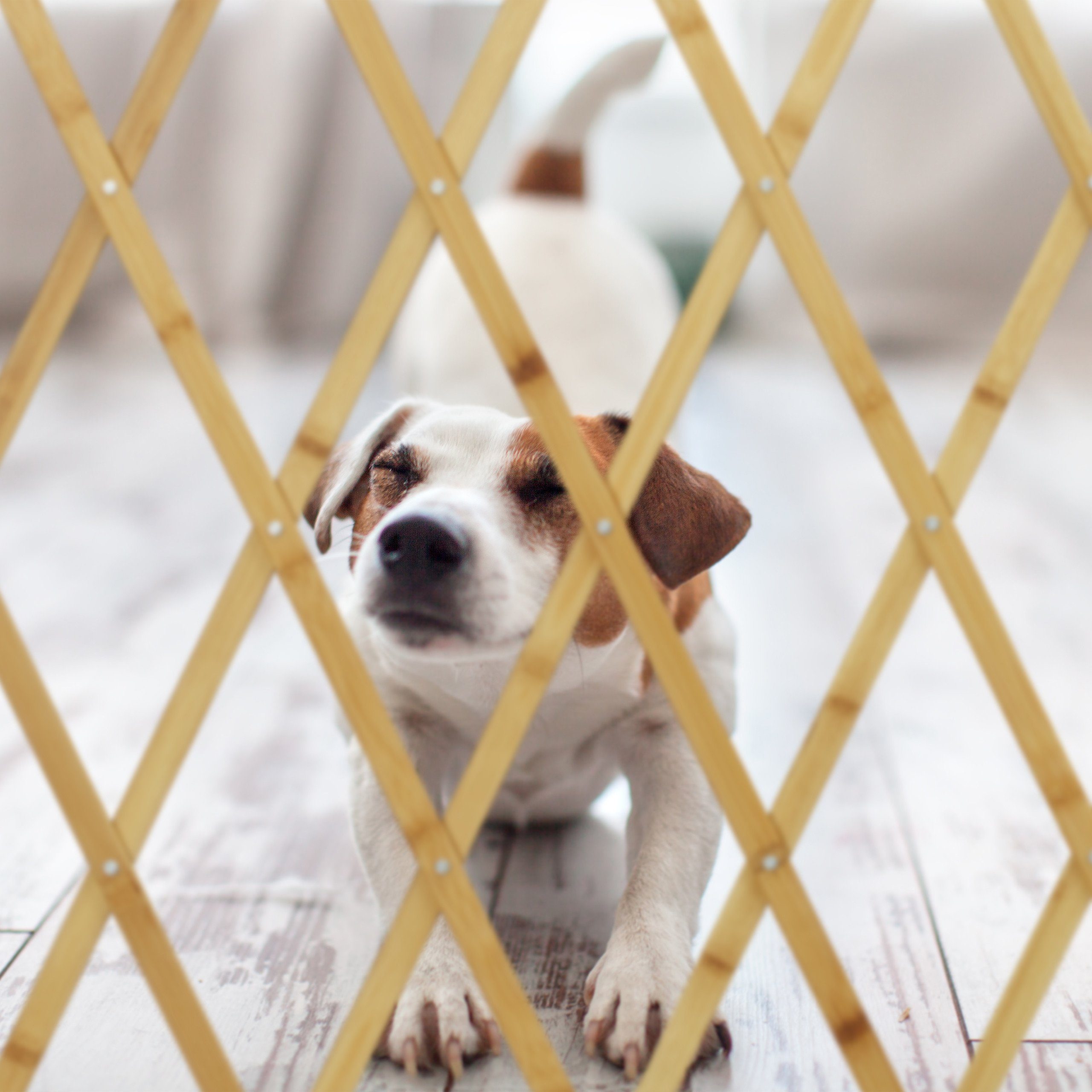 relaxdays Treppenschutzgitter Ausziehbares Hundeabsperrgitter Bambus (1 St) – Bild 5 von 5