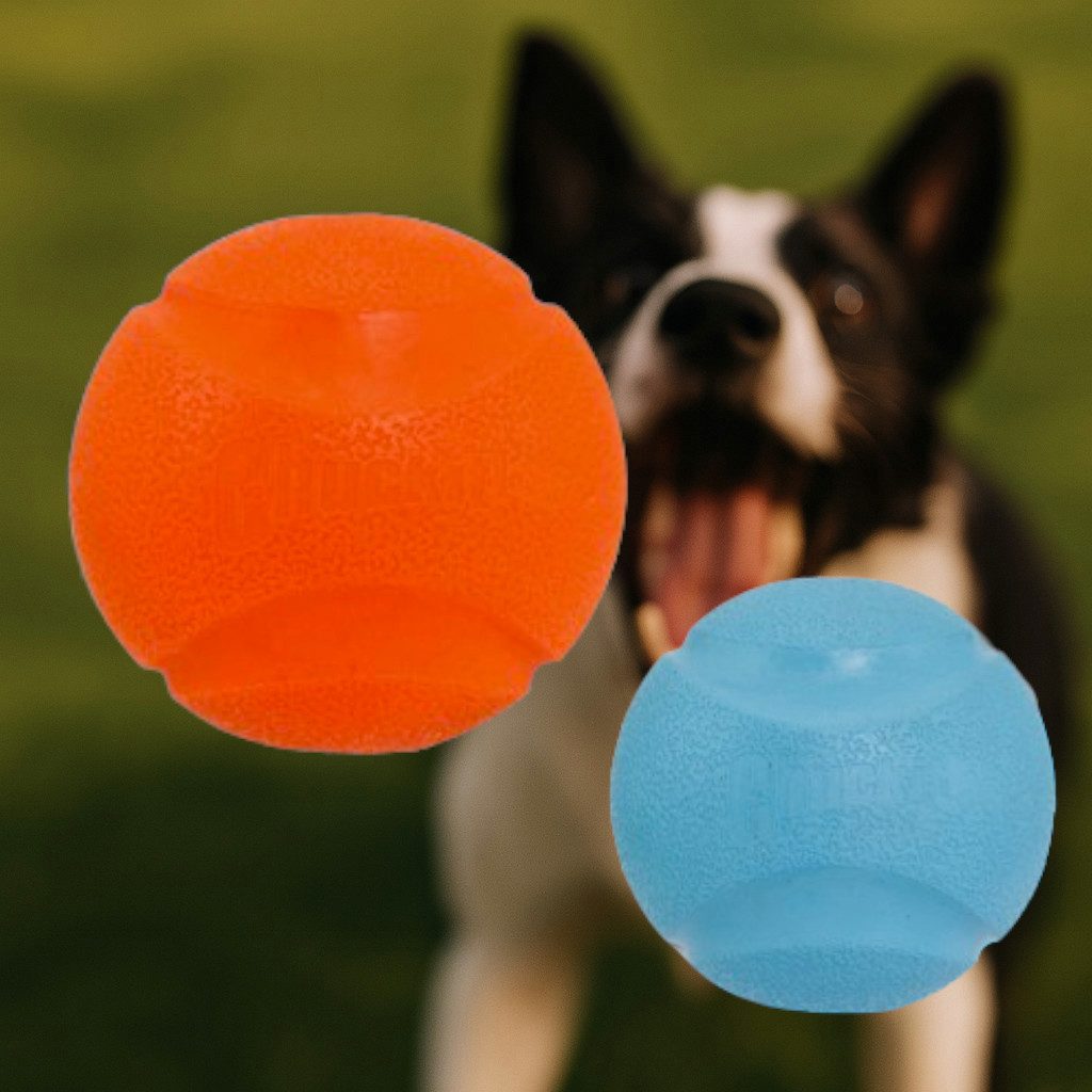 Tierquietschie Chuckit Fetch Ball M (2 Stück)
