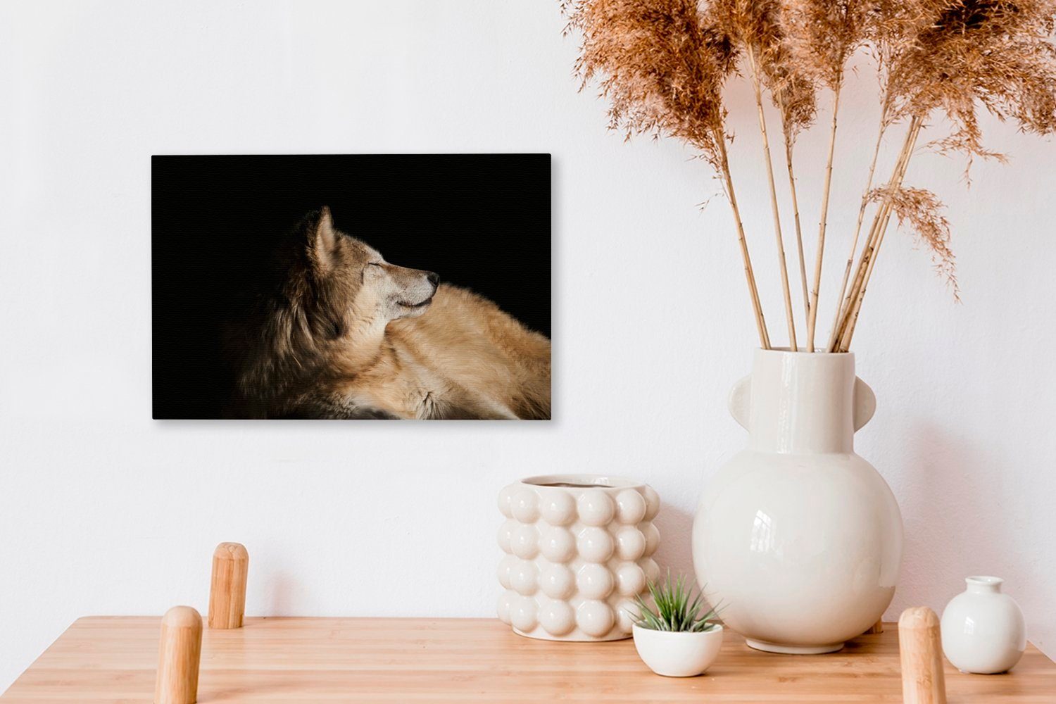 OneMillionCanvasses® Leinwandbild Zufriedener Polarwolf, St), Leinwandbilder, Wandbild 30x20 (1 cm Wanddeko, Aufhängefertig