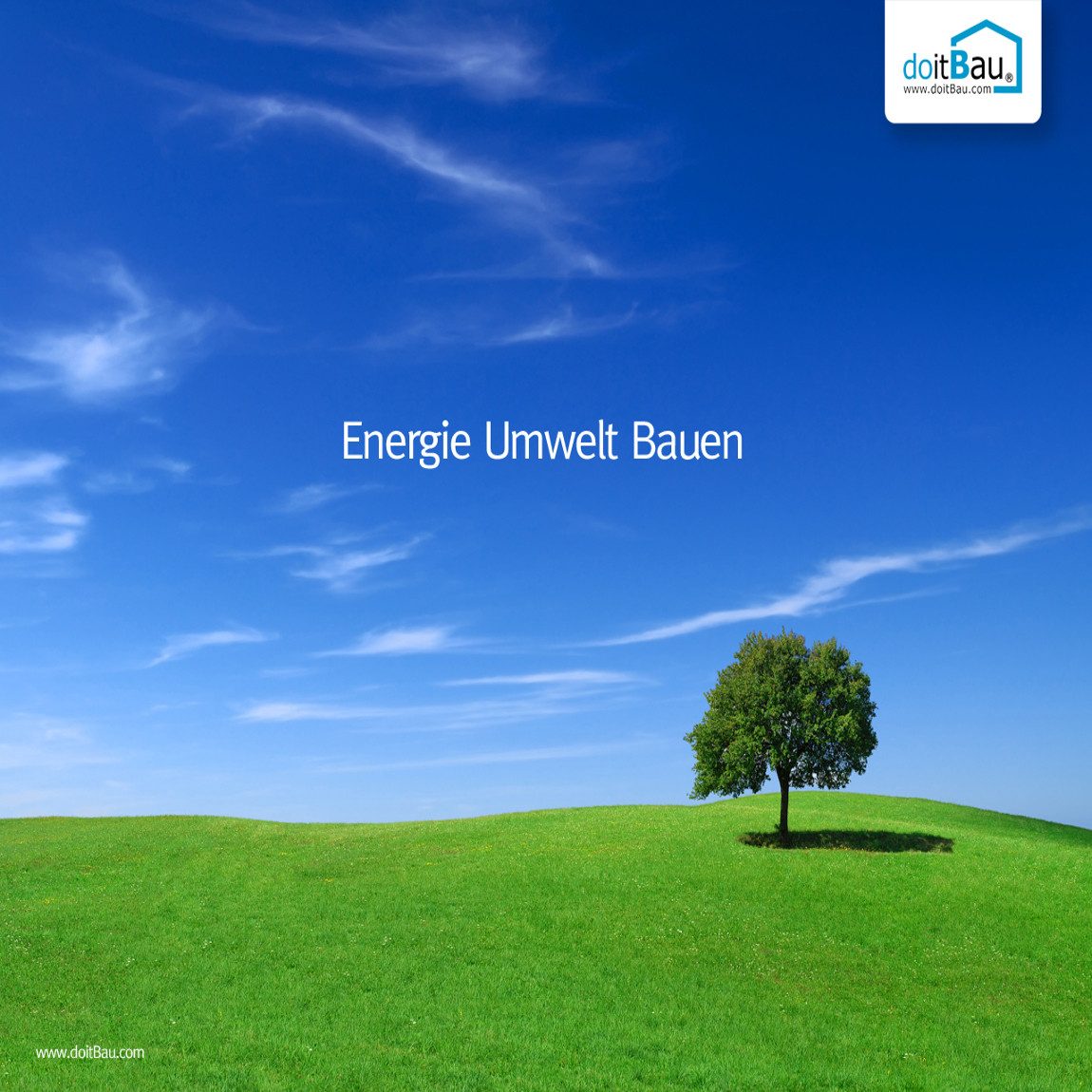 doitBau Profil 25 Stab Gewebeeckwinkel 100mm x 150mm je 2m (25-St)