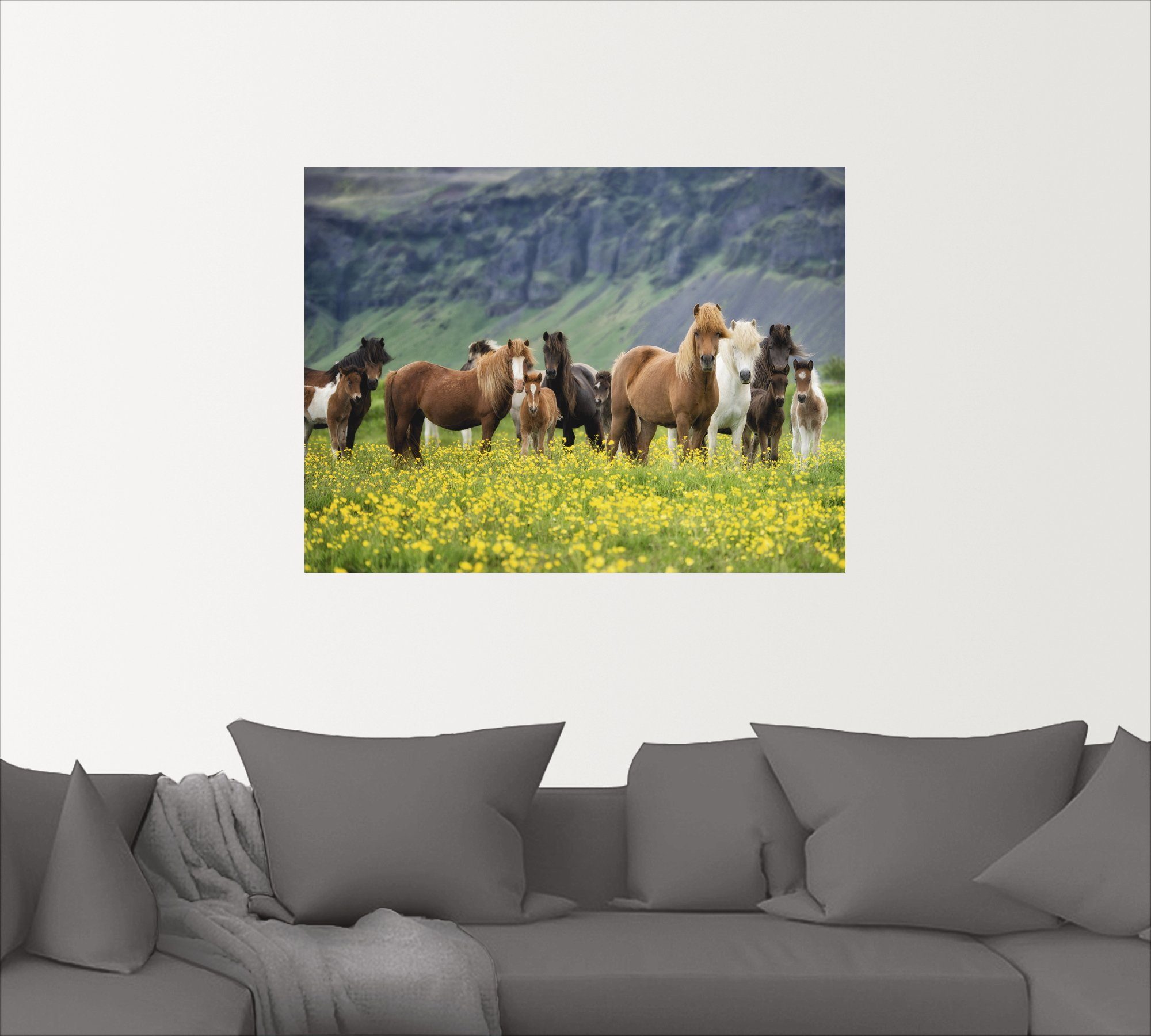 Artland Wandbild Isländische Pferde VII, Haustiere (1 St), als Alubild, Leinwandbild, Wandaufkleber oder Poster in versch. Größen