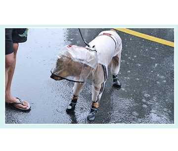 FIDDY Regenmantel Wasserdichter All-Inclusive-Regenmantel für Haustiere mit vier Beinen