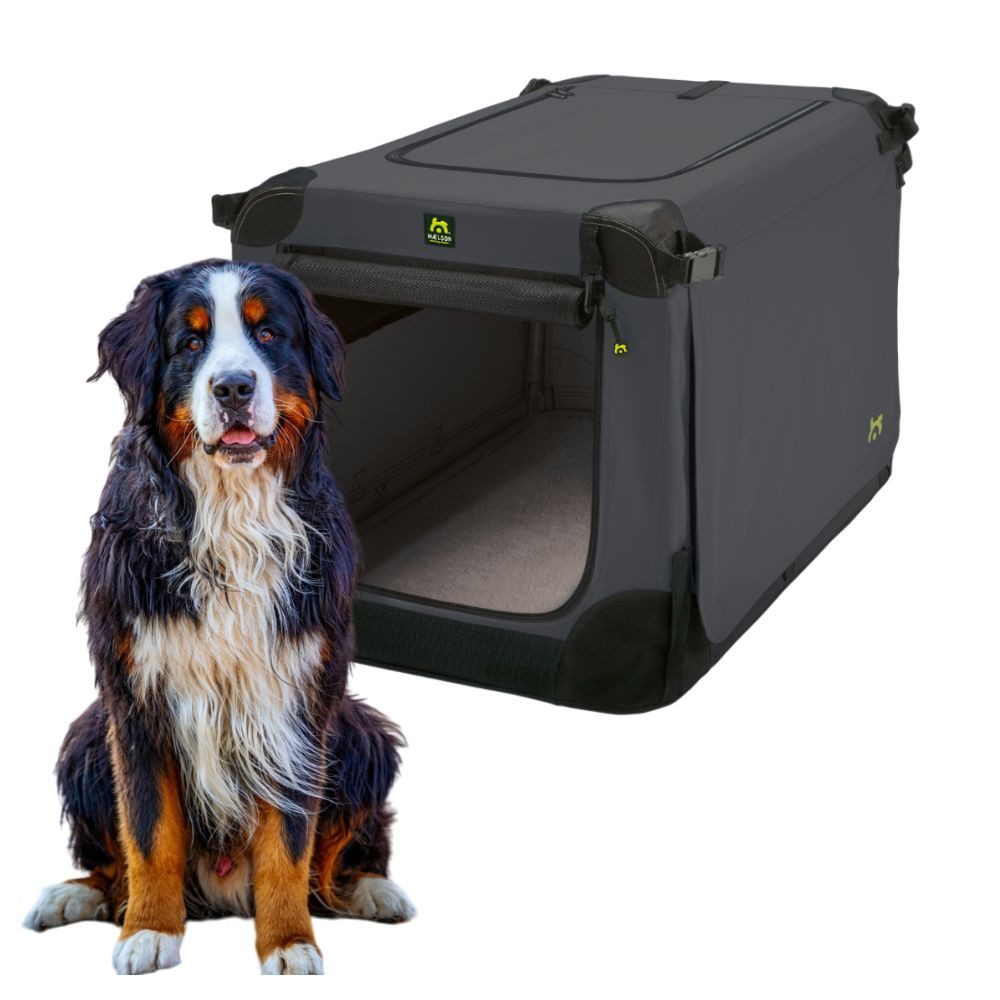 MAELSON Hunde-Transportbox Soft Kennel faltbare Hundebox / Tier Transportbox XXL