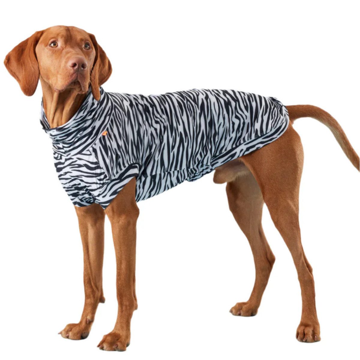 PAIKKA Hundeshirt Hundeshirt Sonnenschutz/Antiparasit "UV & Bug Shirt Edition 2025