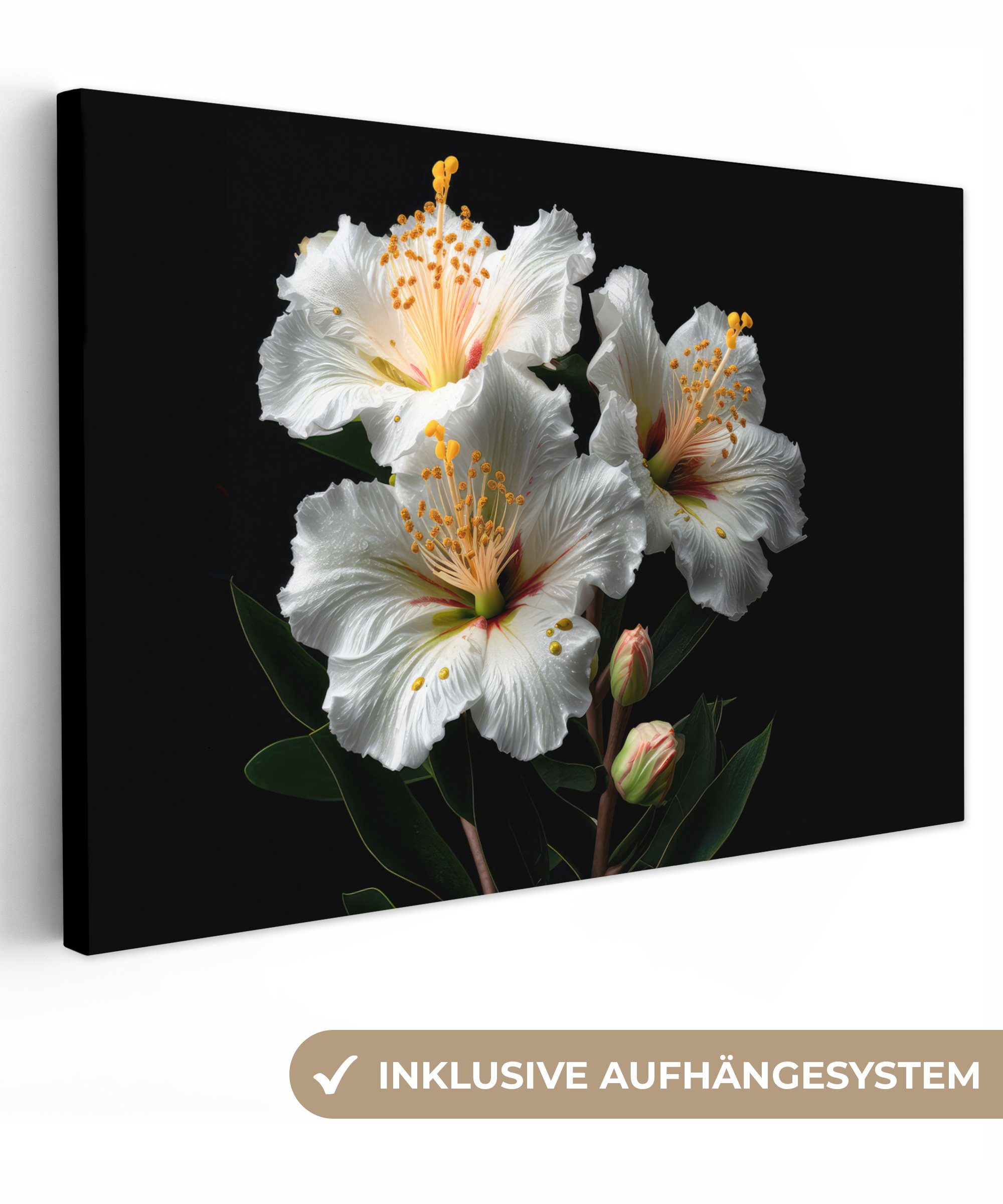 OneMillionCanvasses® Leinwandbild Blumen - Weiß - Hibiskus - Natur - Schwarz, Fotodruck (1 St), Wandbild XXL für Wohnzimmer Küche 120x80 cm