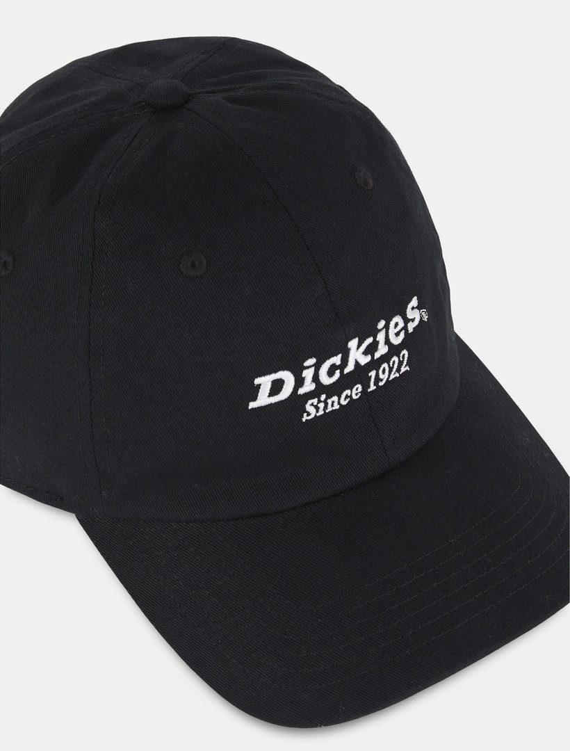 Dickies Baseball Cap Dickies Workwear Mützen TWILL DAD HAT