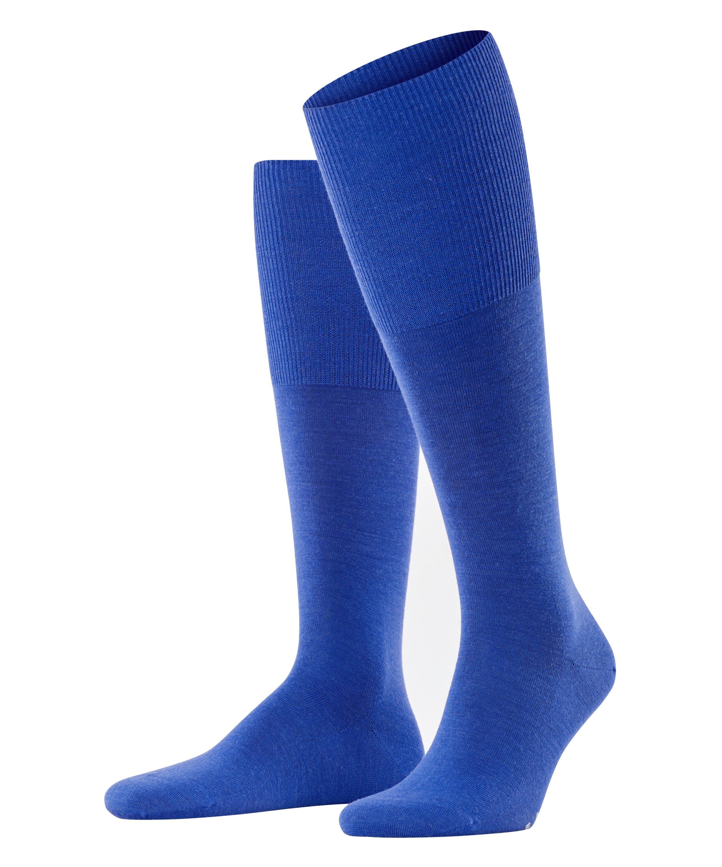 sapphire (6055)