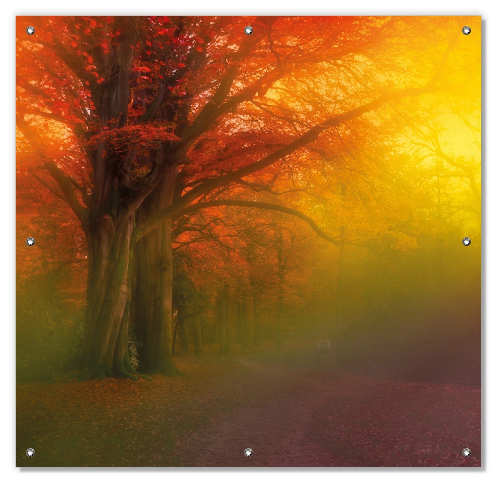 Sonnenschutz Bunter Herbst - Waldlandschaft bei Nebel in Regenbogenfarben, Wallario, blickdicht, mit Saugnäpfen, wiederablösbar und wiederverwendbar