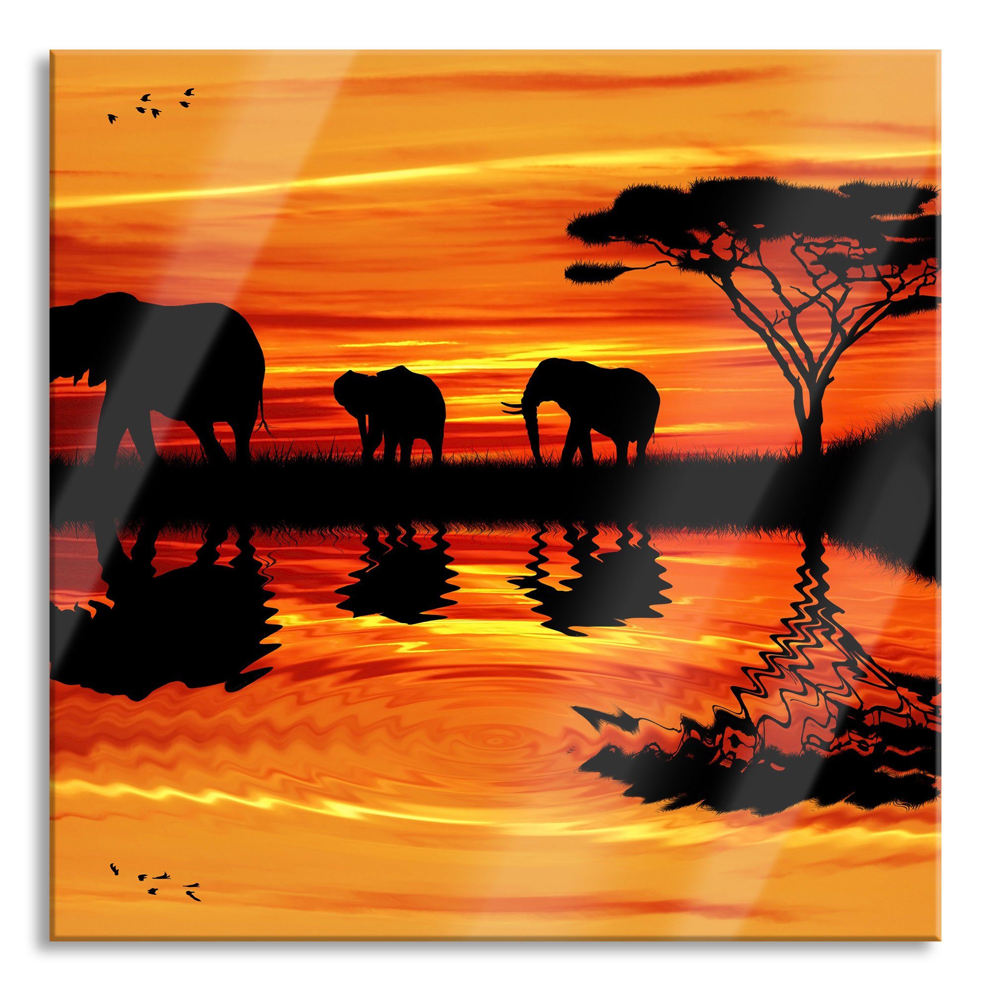 Sonnenschein, Sonnenschein Aufhängungen aus Echtglas, St), Afrika in Pixxprint Glasbild (1 Elefant in Glasbild Abstandshalter inkl. Elefant und Afrika