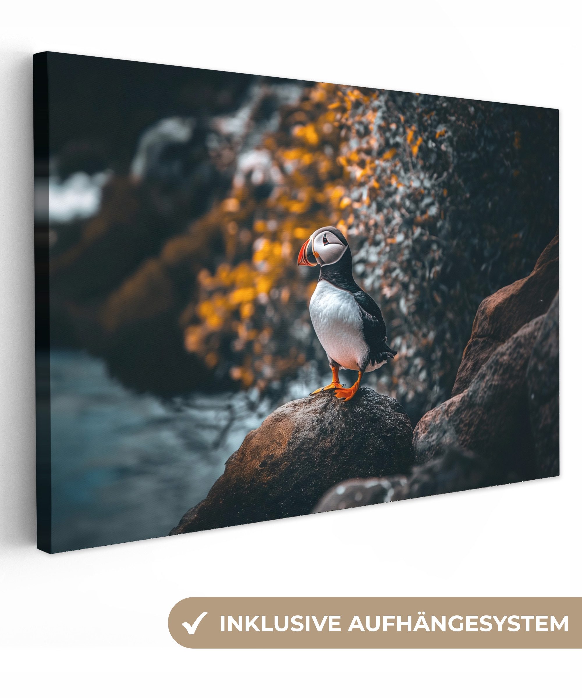 Leinwandbild Papagei - Vogel - Felsen - Weiß