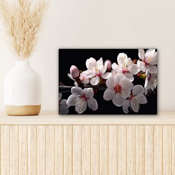 OneMillionCanvasses® Leinwandbild Sakura - Blumen - Blütenzweige - Botanisch - Weiß, (1 St), Wandbild Leinwandbilder, Aufhängefertig, Wanddeko, 30x20 cm