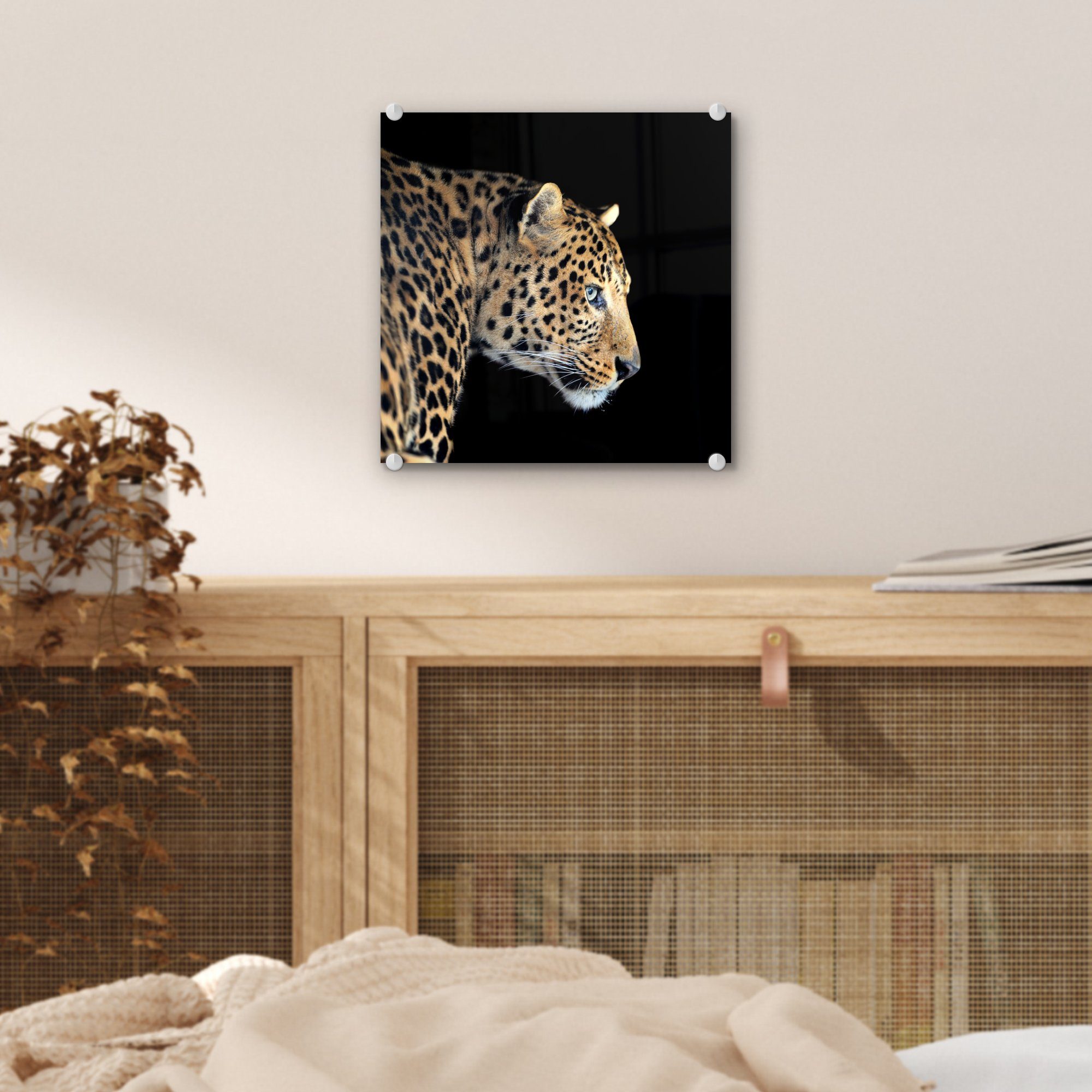 MuchoWow Acrylglasbild Leopard - Glasbilder Glas Wandbild Schwarz, Glas Wanddekoration Bilder Tiere - auf Foto - (1 auf St), - 