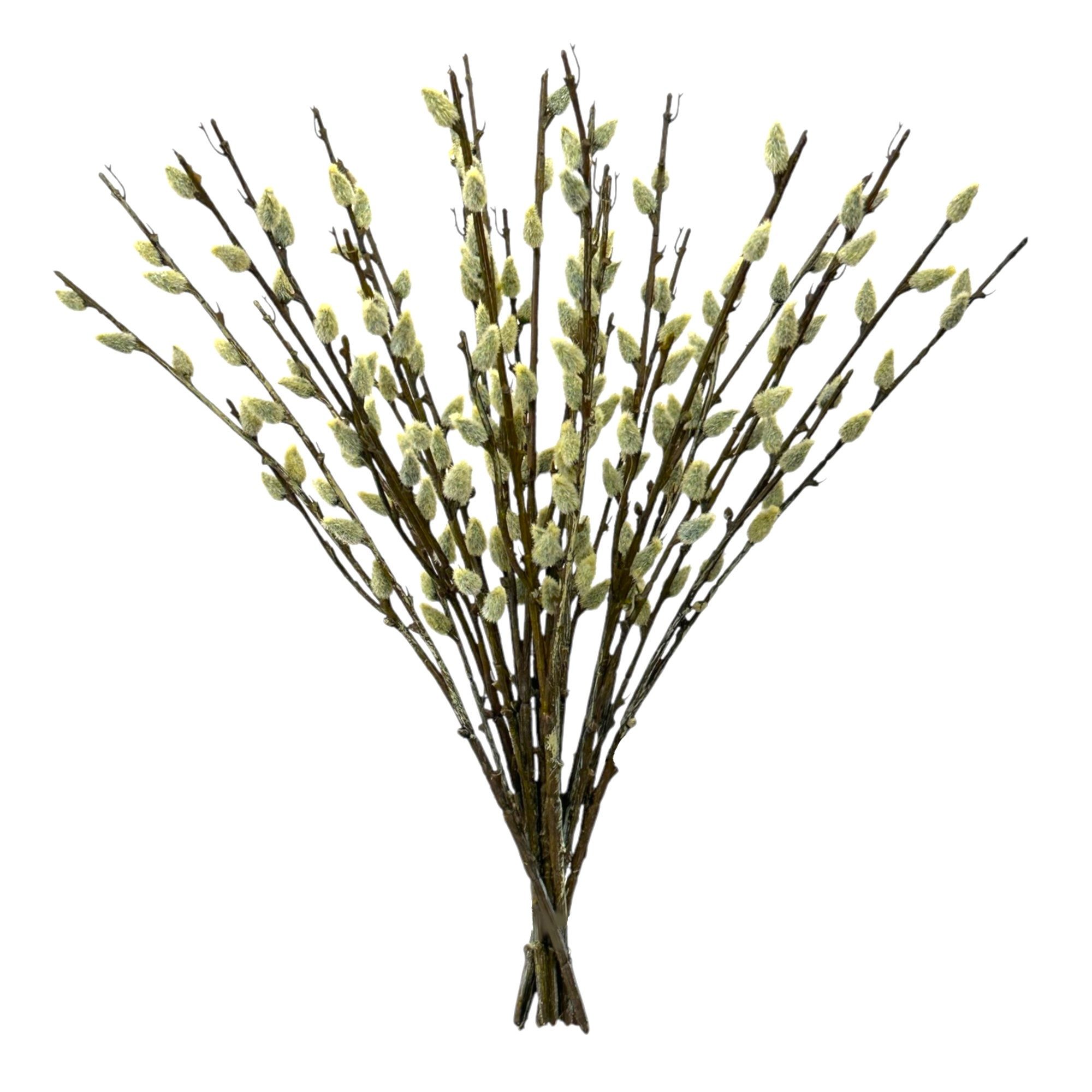 Kunstzweig Künstlicher Weidenkätzchen-Strauß ca. 42cm. Osterstrauß, Osterzweige, naninoa GmbH, Höhe 42.00 cm