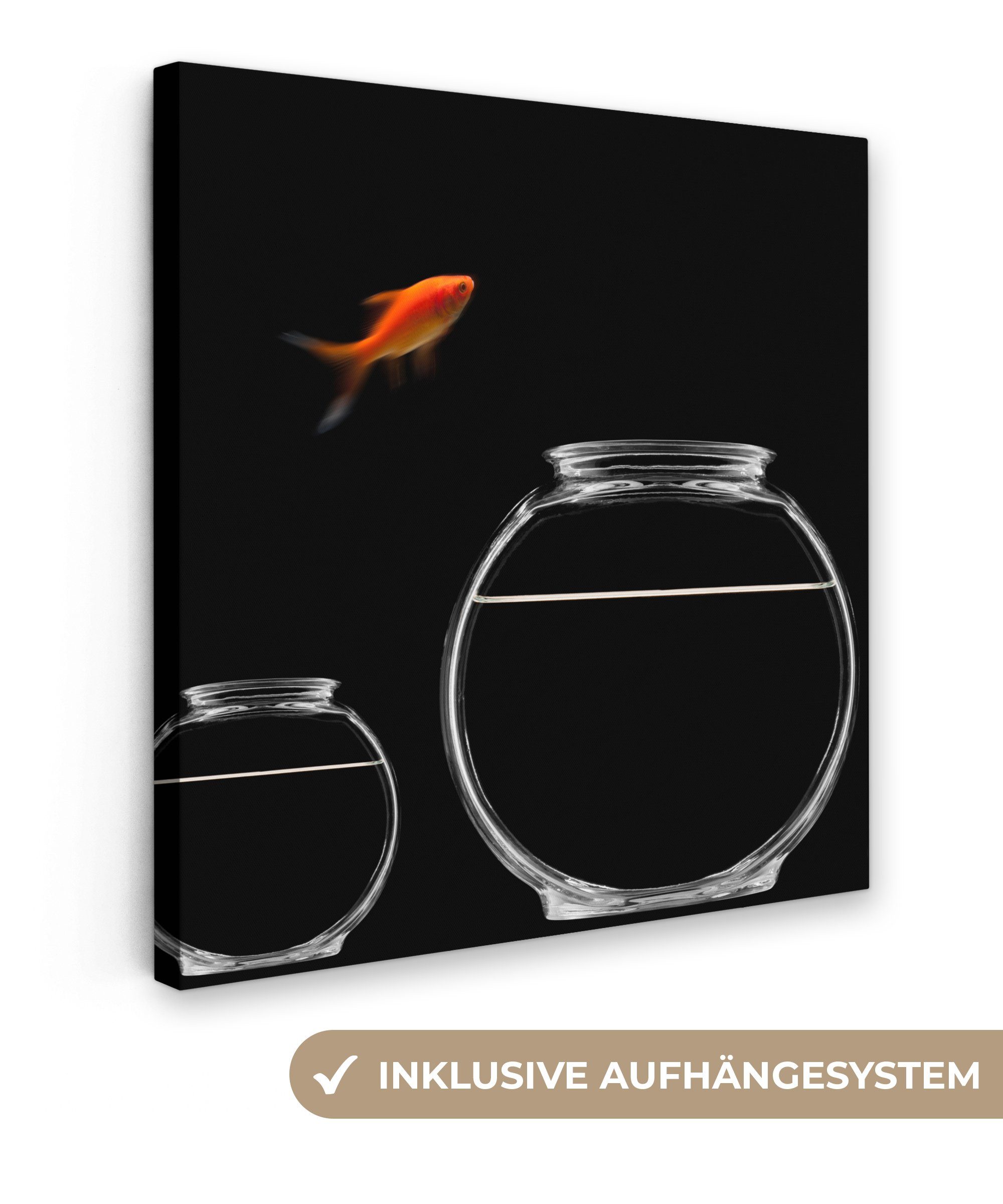 OneMillionCanvasses® Leinwandbild Goldfisch - Fischglas - Schwarz, (1 St), Leinwand Bilder für Wohnzimmer Schlafzimmer, 20x20 cm