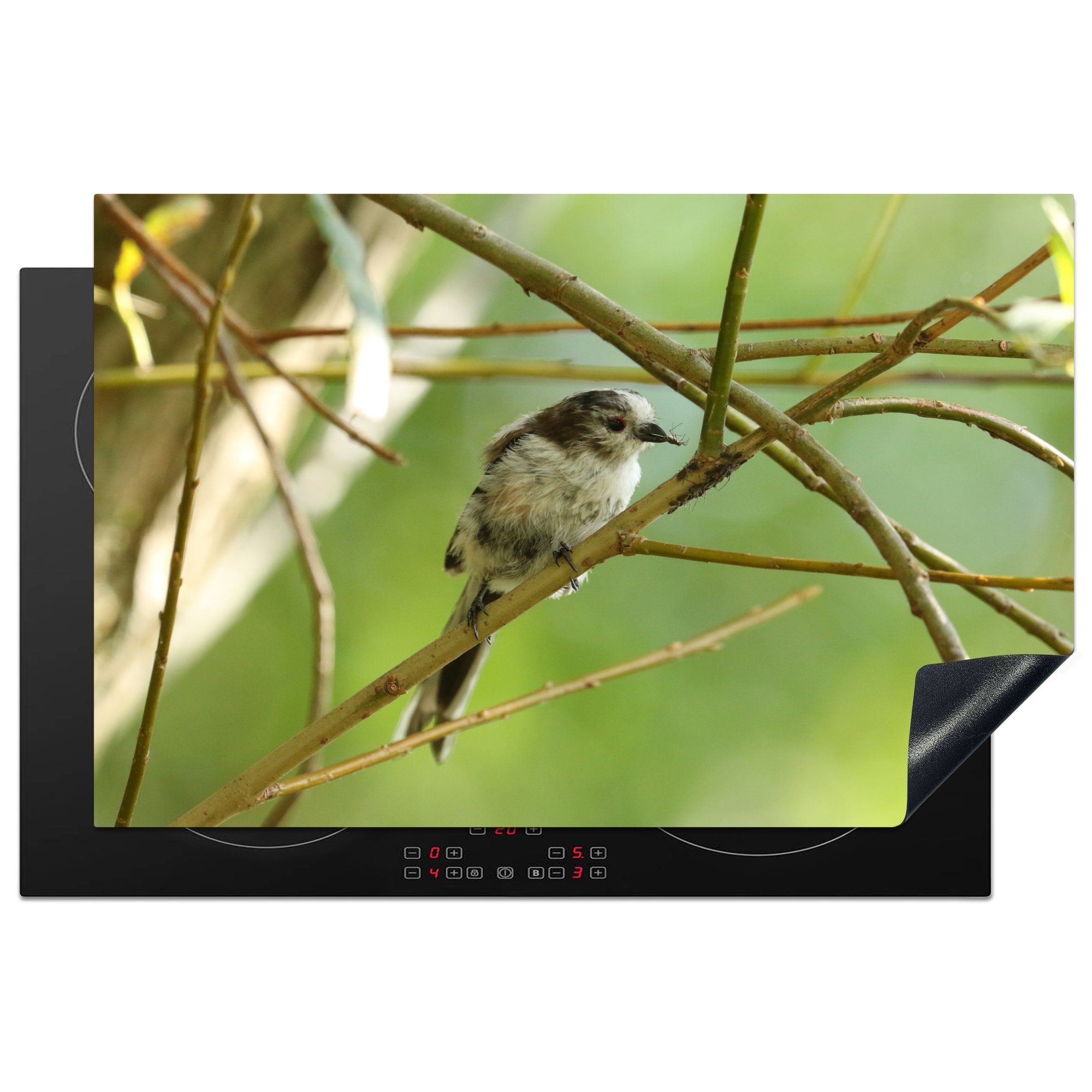 MuchoWow Herdblende-/Abdeckplatte Vogel zwischen den Zweigen, Vinyl, (1 tlg), 81x52 cm, Induktionskochfeld Schutz für die küche, Ceranfeldabdeckung