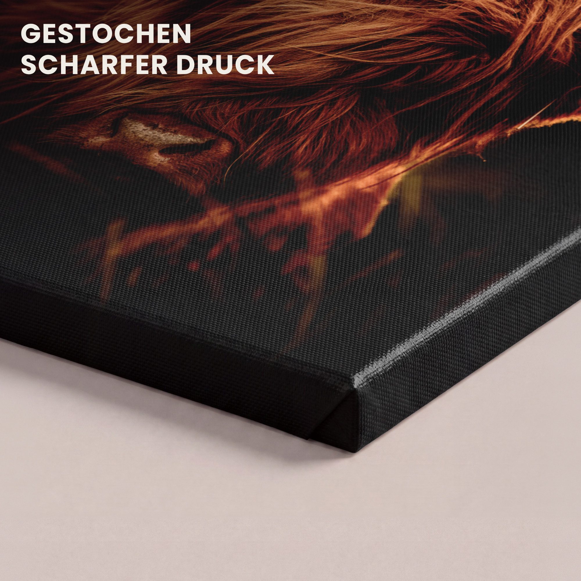 OneMillionCanvasses® Leinwandbild Schottischer Highlander - Kuh - Hörner - Porträt - Tiere, Fotodruck (1 St), Wandbild, Deko Schlafzimmer Wohnzimmer Flur 20x20  – Bild 3 von 5