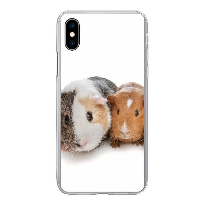MuchoWow Handyhülle Fünf Meerschweinchen Handyhülle Apple iPhone Xs Max Smartphone-Bumper Print Handy