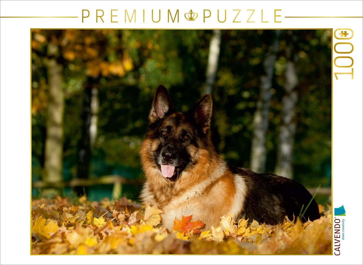 CALVENDO Puzzle CALVENDO Puzzle Deutscher Schäferhund 1000 Teile Lege-Größe 64 x 48 cm Foto-Puzzle Bild von Petra Schiller, 1000 Puzzleteile