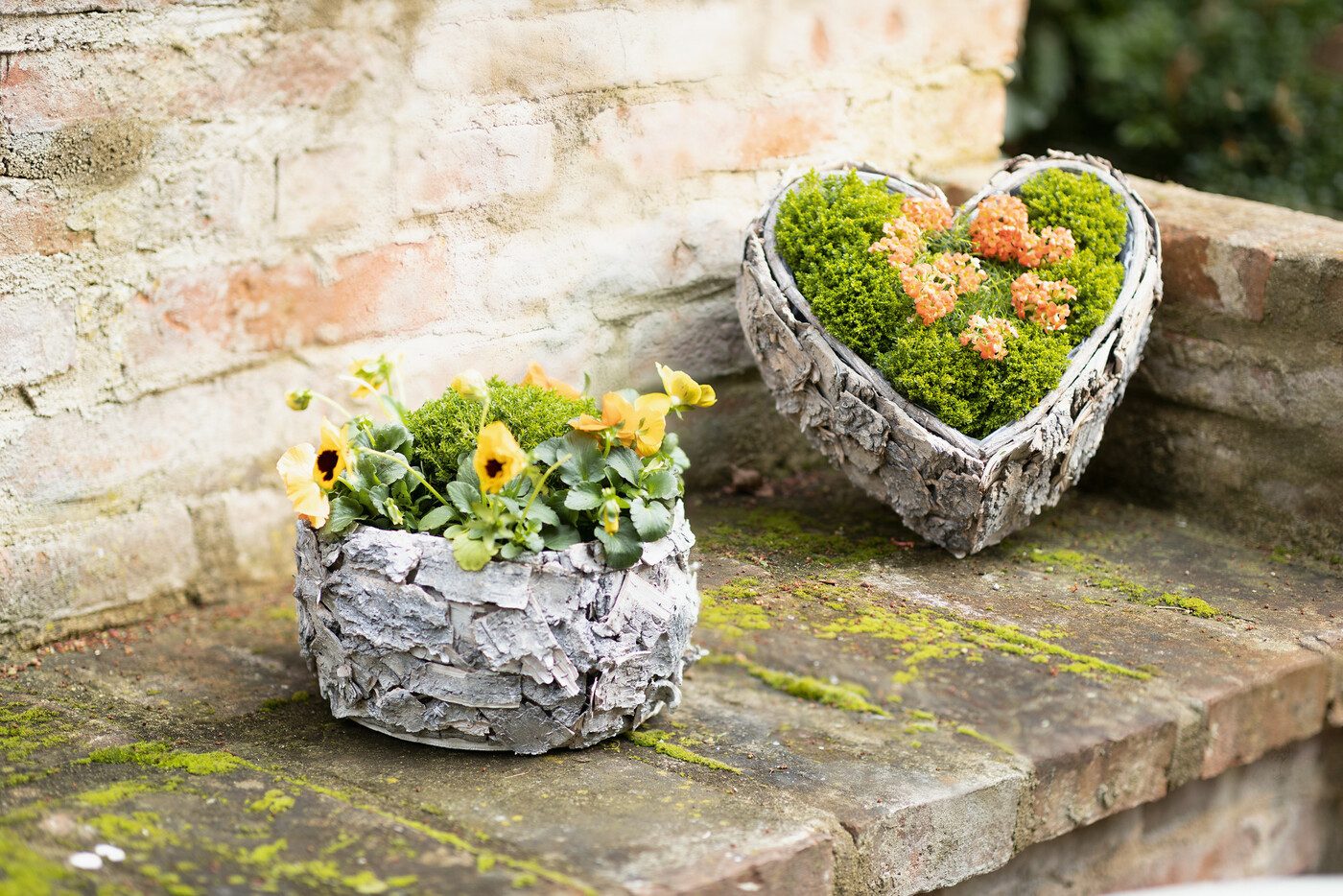 Frank Flechtwaren Pflanzschale, Pflanzherz Birkenrinde