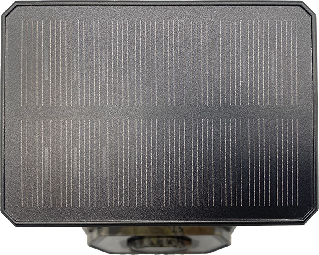 Berger & Schröter Wildkamera Mini Wifi 32 MP mit Solar Panel 0,75 W (Revier, Jagd, Außenbereich, Sicherheitsüberwachung, Wildtierbeobachtung, App-Steuerung und IP66-Gehäuse)
