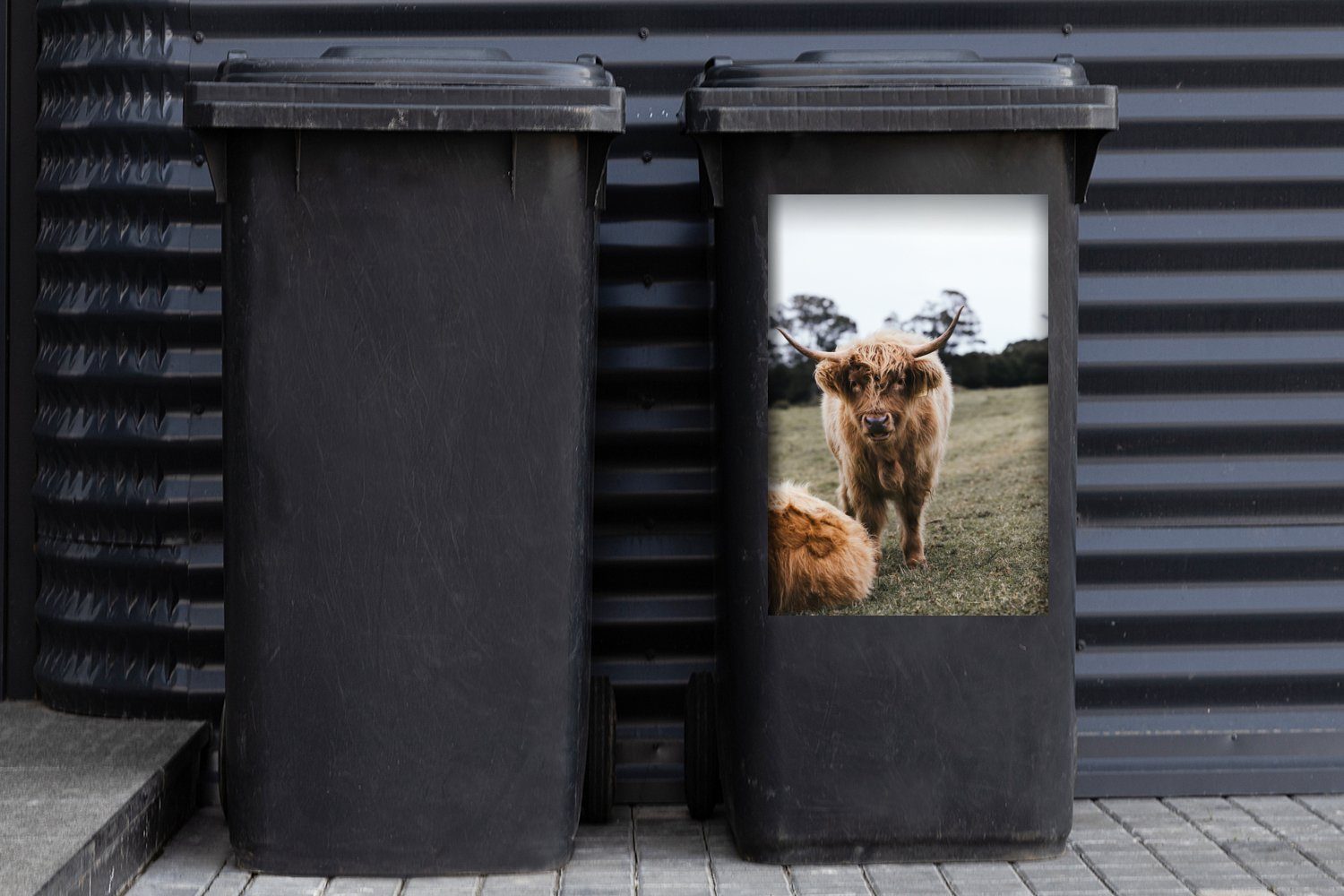Nutztiere Container, - MuchoWow (1 Mülltonne, Highlander St), Abfalbehälter - Sticker, Gras Mülleimer-aufkleber, Scottish Wandsticker