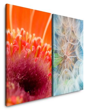 Sinus Art Leinwandbild 2 Bilder je 60x90cm Rote Blume Pusteblume Nektar Leicht Sommer Dekorativ Makrofotografie