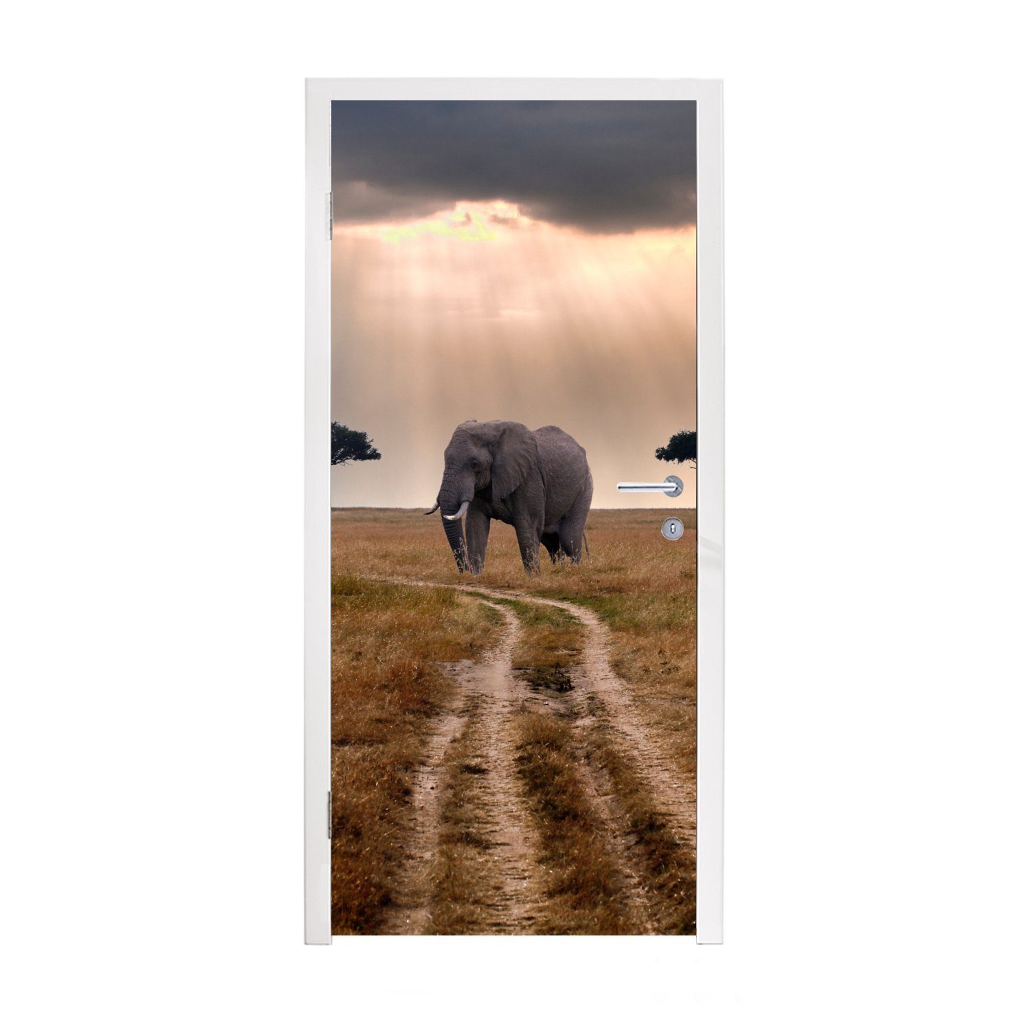 MuchoWow Türtapete Elefant - Tiere - Wiese - Sonne, Matt, bedruckt, (1 St), Fototapete für Tür, Türaufkleber, 75x205 cm