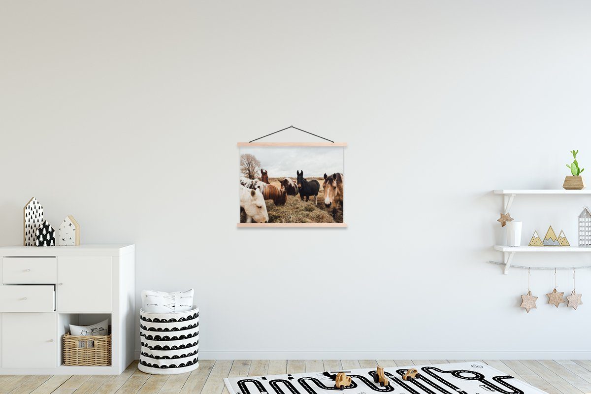 MuchoWow Poster Tiere - Pferd, (1 St), Posterleiste, Textilposter für Wohnzimmer, Bilderleiste, Magnetisch