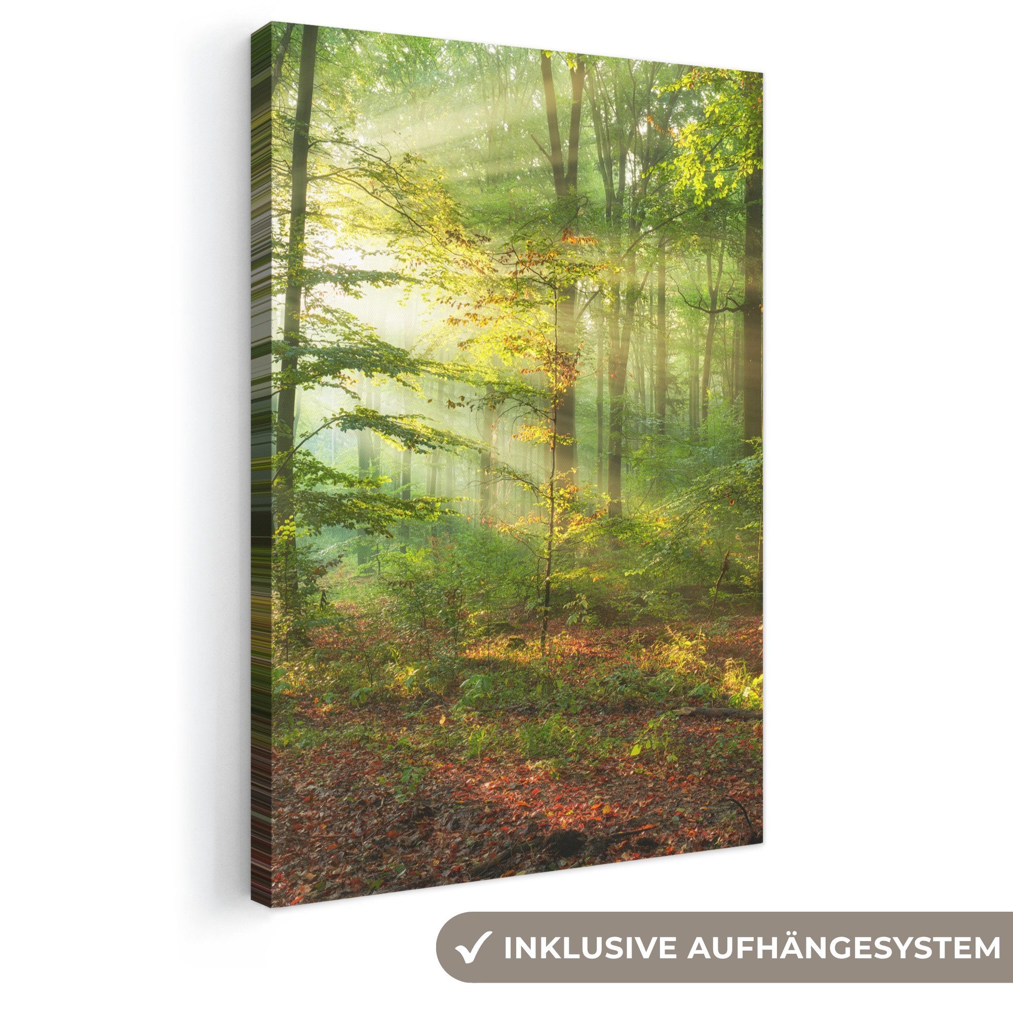 OneMillionCanvasses® Leinwandbild Sonne - Wald - Bäume - Natur - Herbst, Fotodruck (1 St), Leinwand Canvas Wandbild, Wanddekoration 20x30 cm