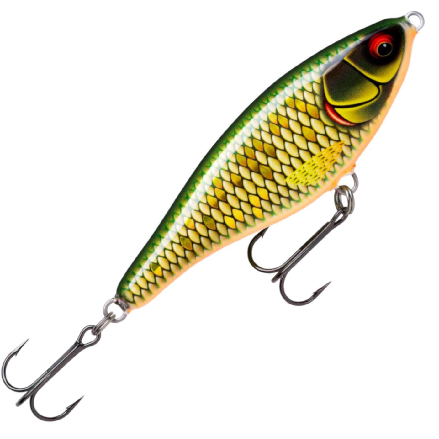Scaled Roach
