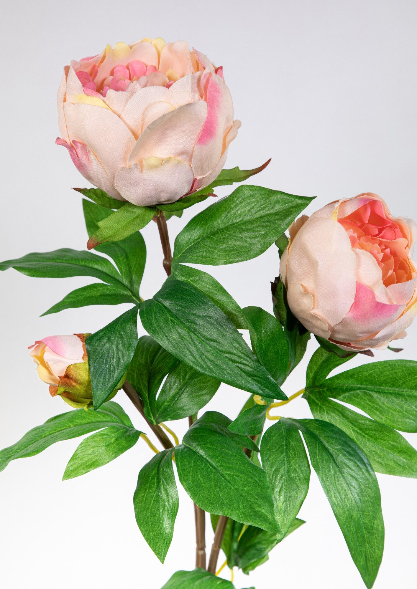 Kunstblume Pfingstrose Nature 68cm GA Seidenblumen günstig online kaufen