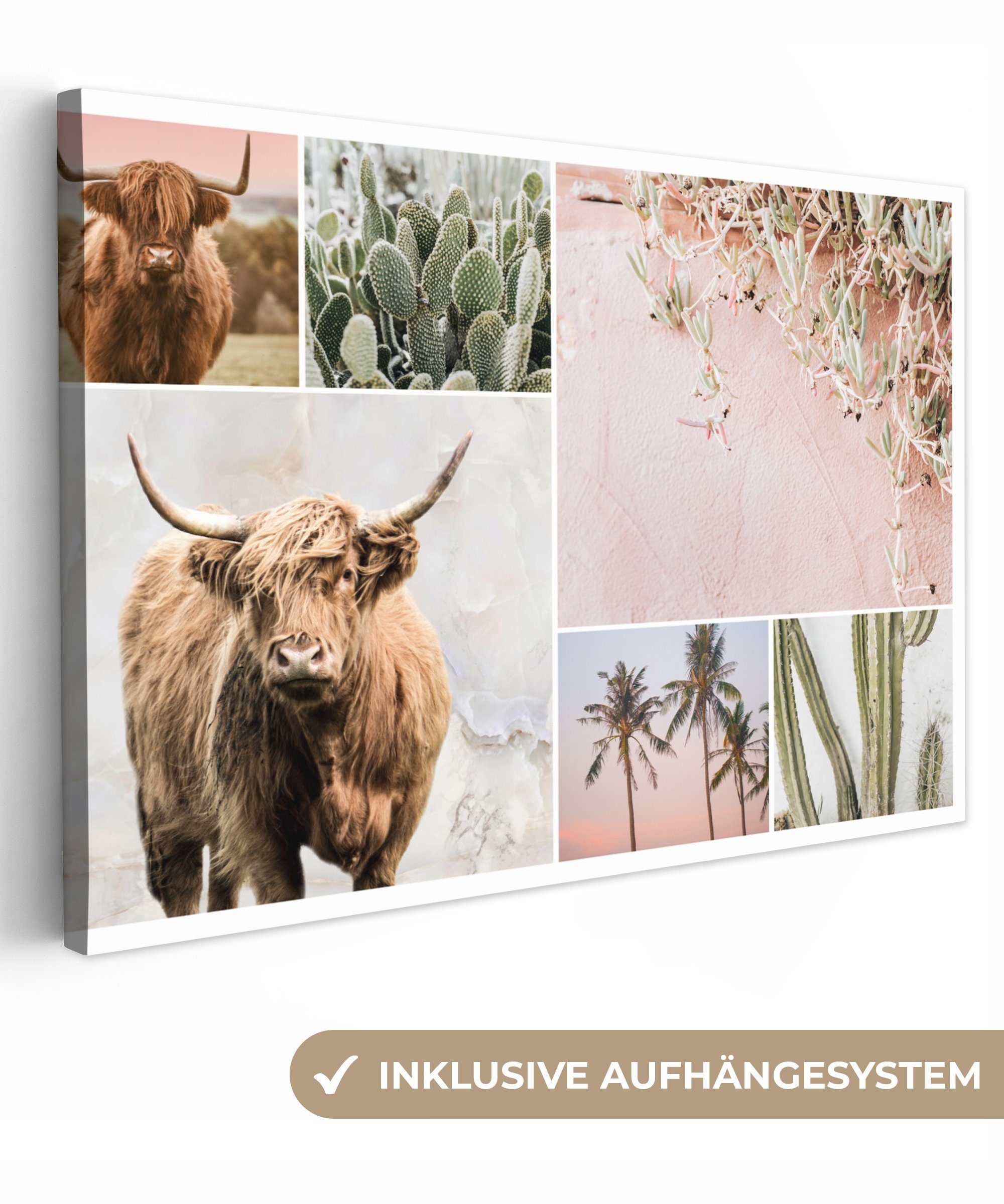 OneMillionCanvasses® Leinwandbild Schottischer Highlander - Collage - Kaktus, (1 St), Wandbild Leinwandbilder, Aufhängefertig, Wanddeko, 30x20 cm