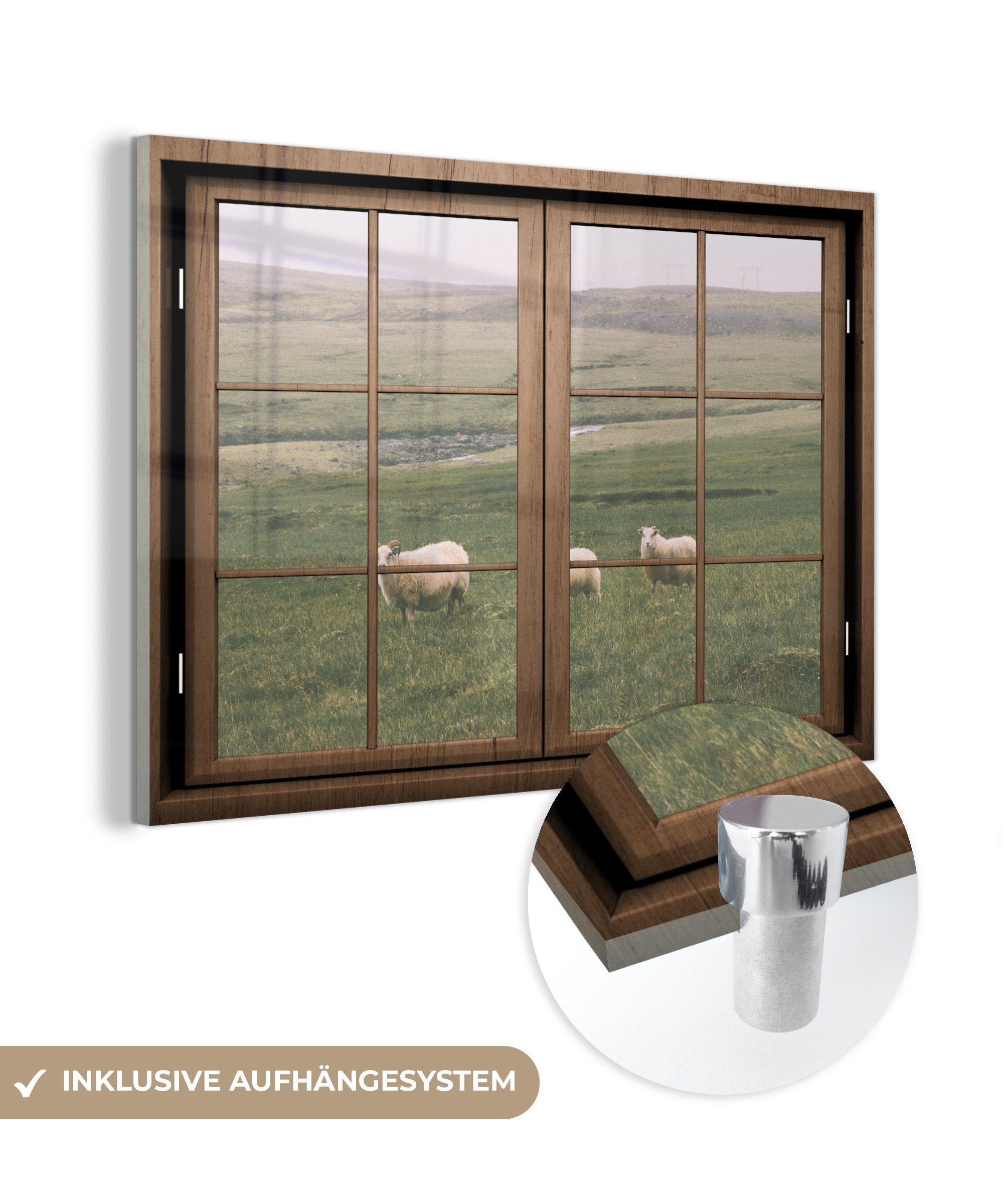 MuchoWow Acrylglasbild Durchsichtig - Schafe - Tiere, (1 St), Glasbilder - Bilder auf Glas Wandbild - Foto auf Glas - Wanddekoration