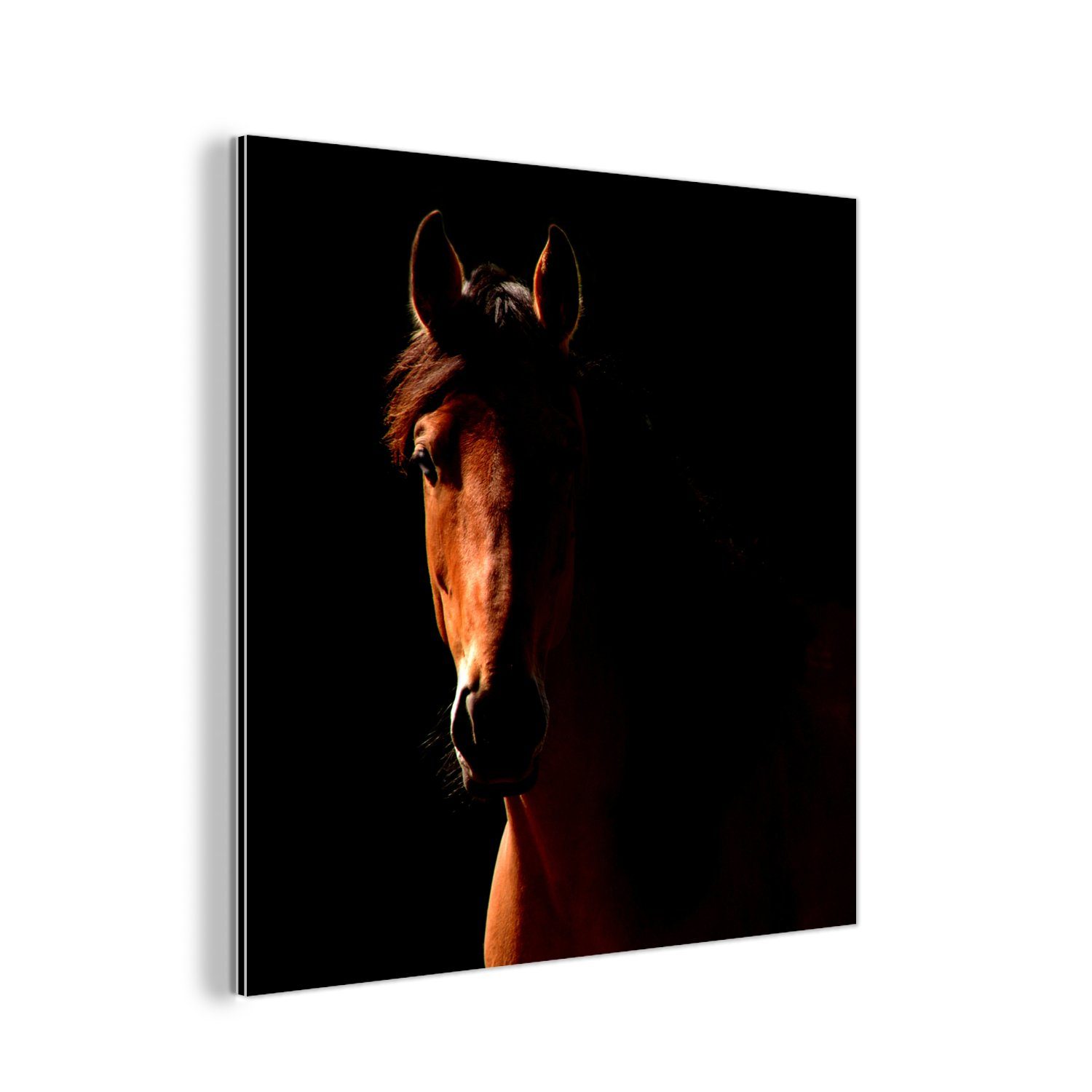 MuchoWow Metallbild Pferd Licht Metall, St), - (1 Aluminium - deko Gemälde Alu-Dibond-Druck, Porträt, aus