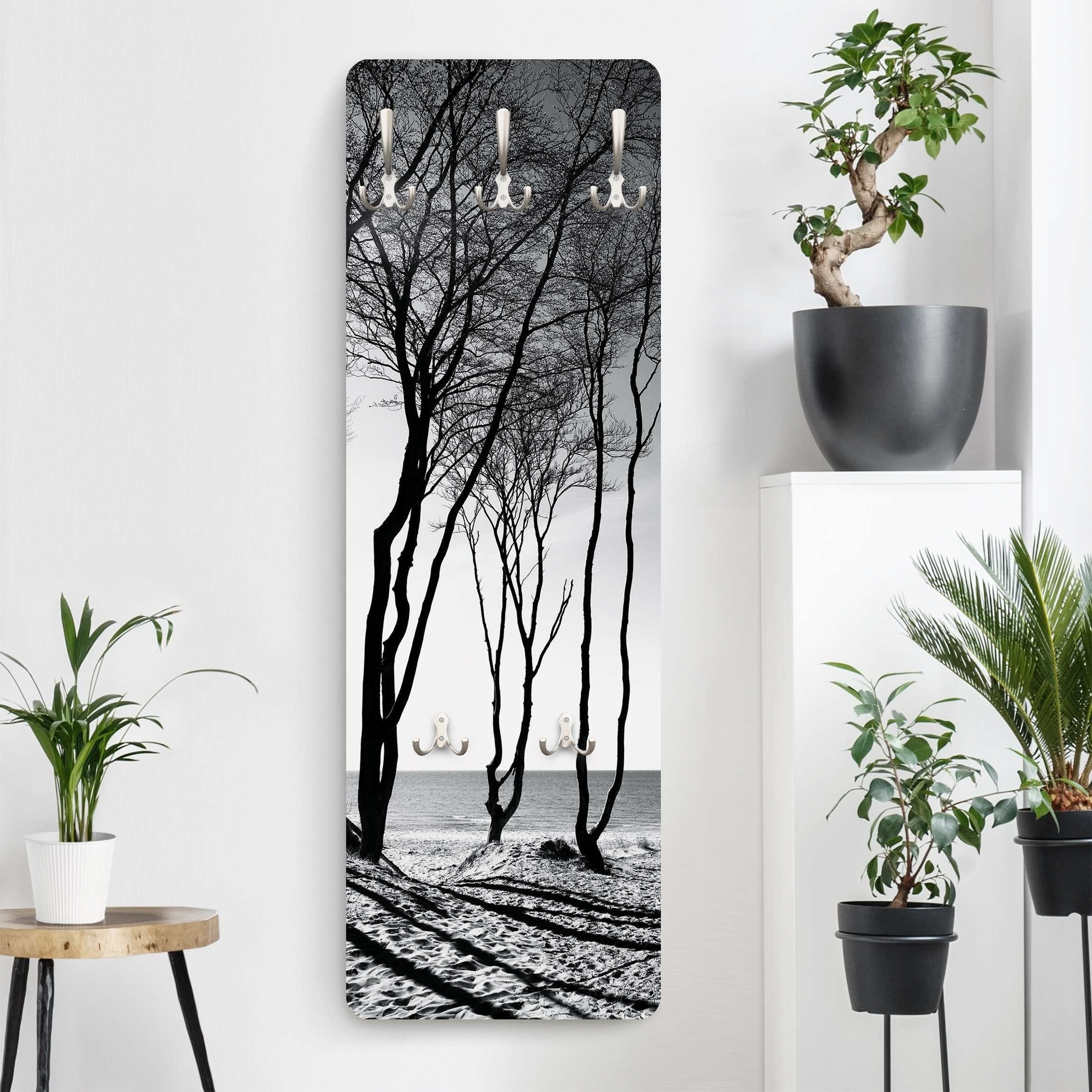 Bilderdepot24 Garderobenpaneel schwarz-weiß Bäume Wald Natur günstig online kaufen