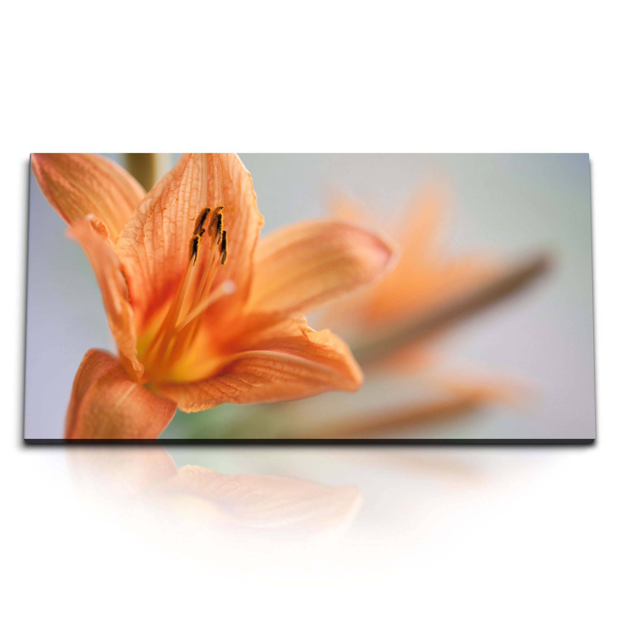 Leinwandbild Kunstdruck Bilder 120x60cm Lilie Blume Orange Blüte Makrofotografie
