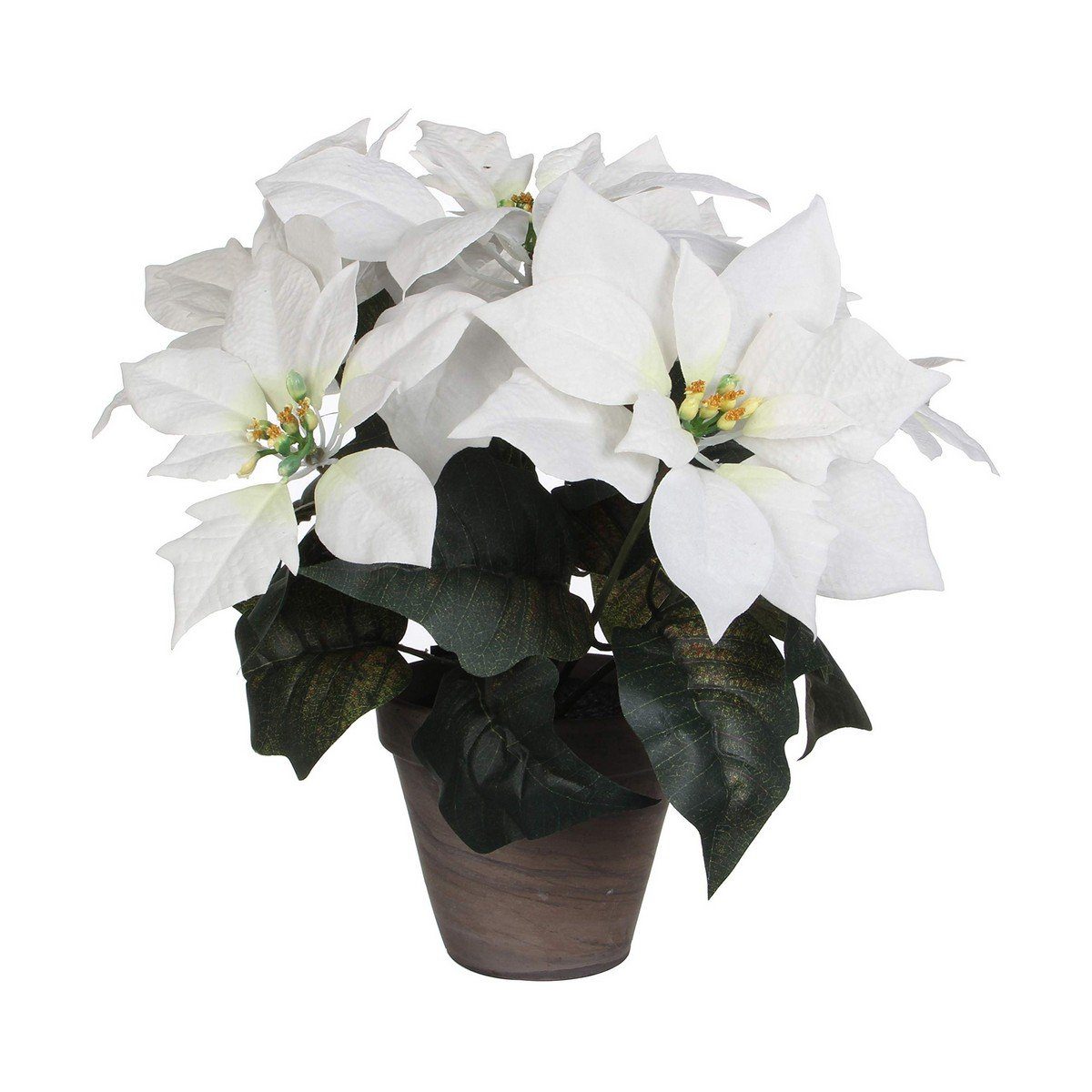Zimmerpflanze Höhe Bigbuy, cm 35 Künstliche Pflanzen, Künstliche X 33 Weiß Dekorationspflanze 27 CM PVC