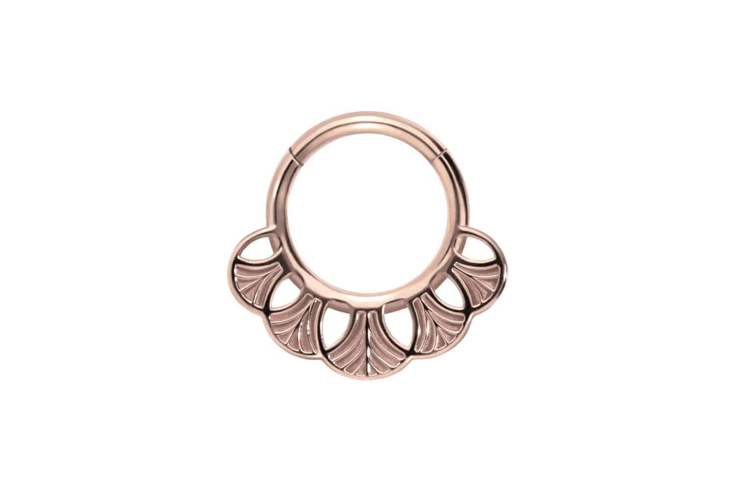 Nasenpiercing Chirurgenstahl Segmentring Clicker GINKGOBLÄTTER Ohrpiercing Septum