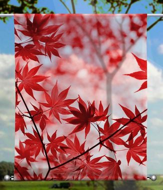 Scheibengardine Scheibenhänger Roter Herbst - rechteckig mit Beschwerung, gardinen-for-life