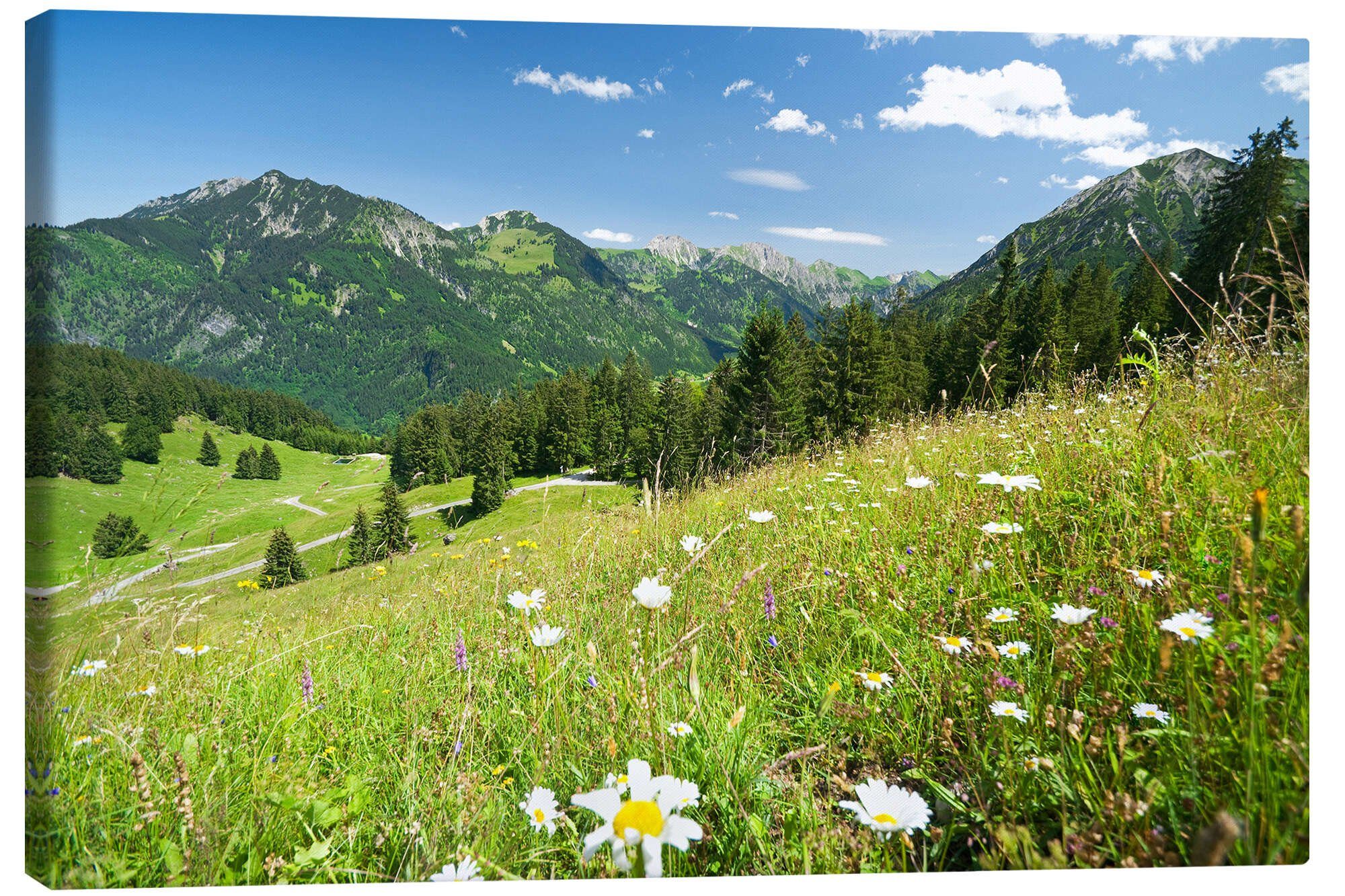 Posterlounge Wandbild Almwiese Allgäuer Alpen, bildpics, erhältlich als Poster, Leinwandbild, Wandsticker oder Acrylglasbild