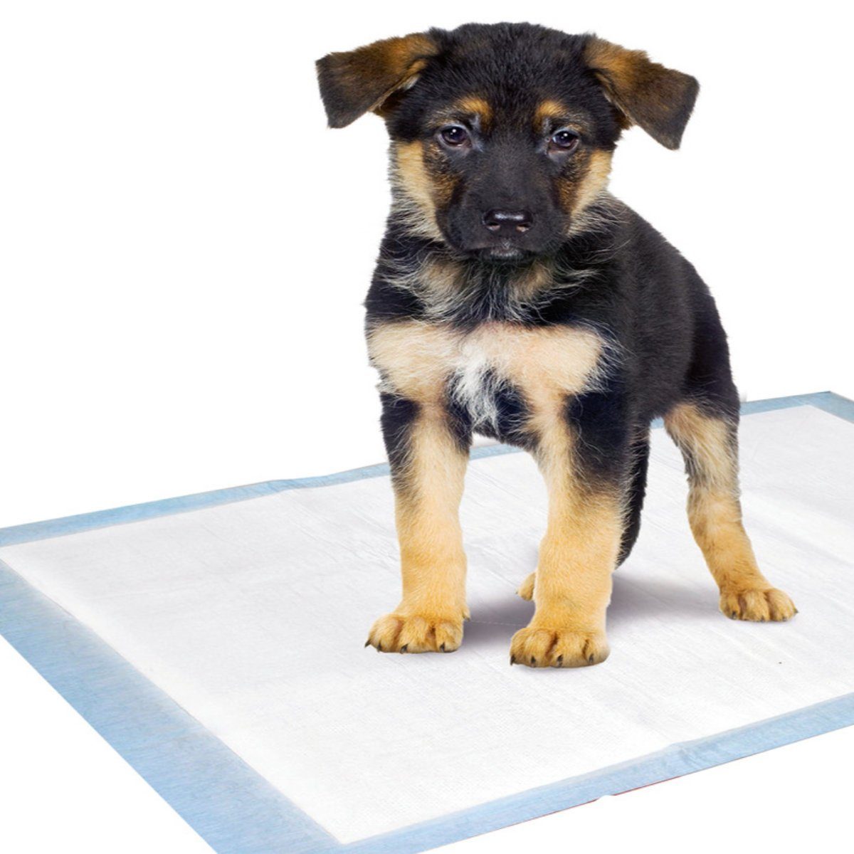 Karlie Hundetoilette Puppy Pads Trainingsmatte